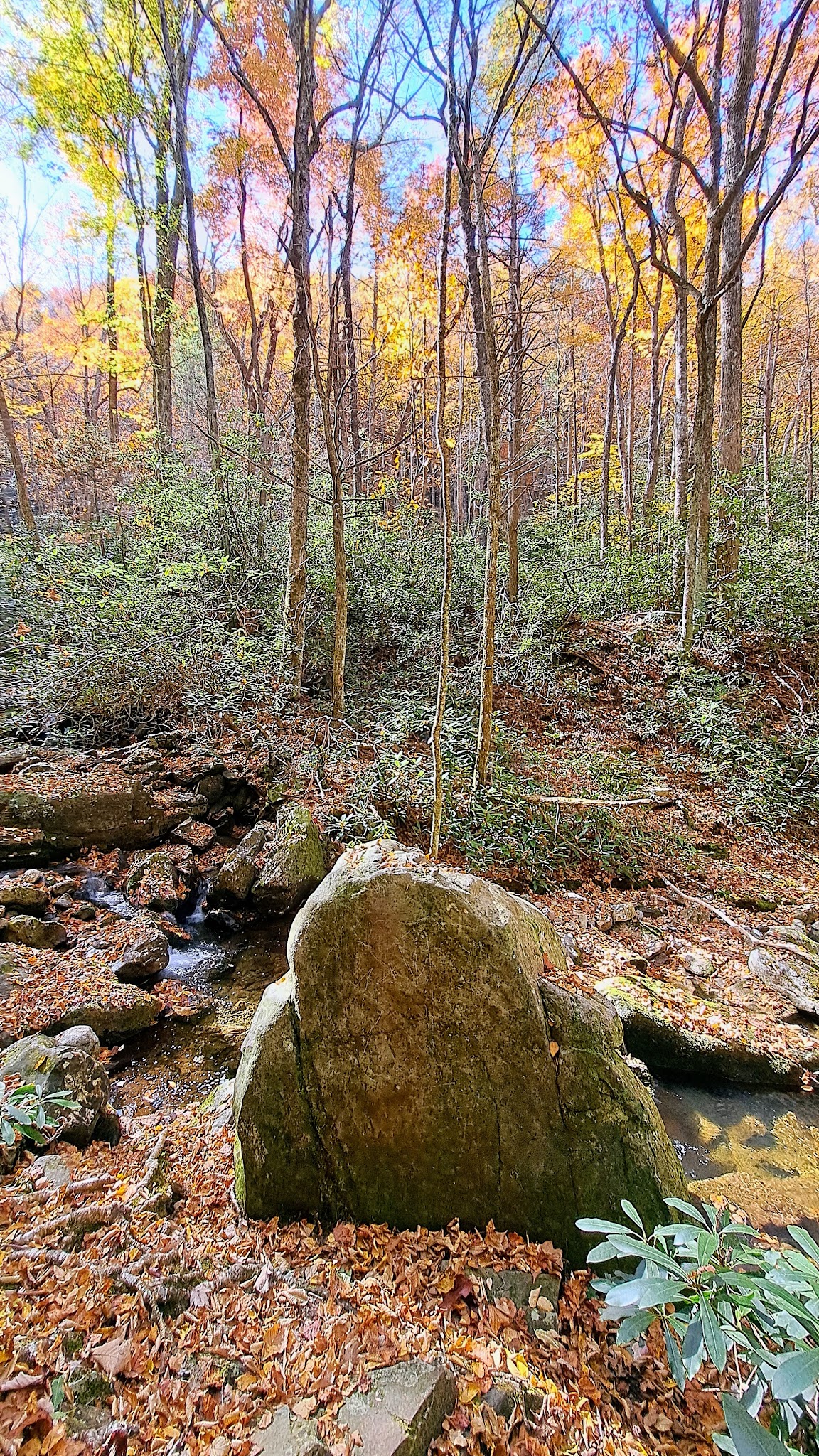 Rock Creek Recreation Area