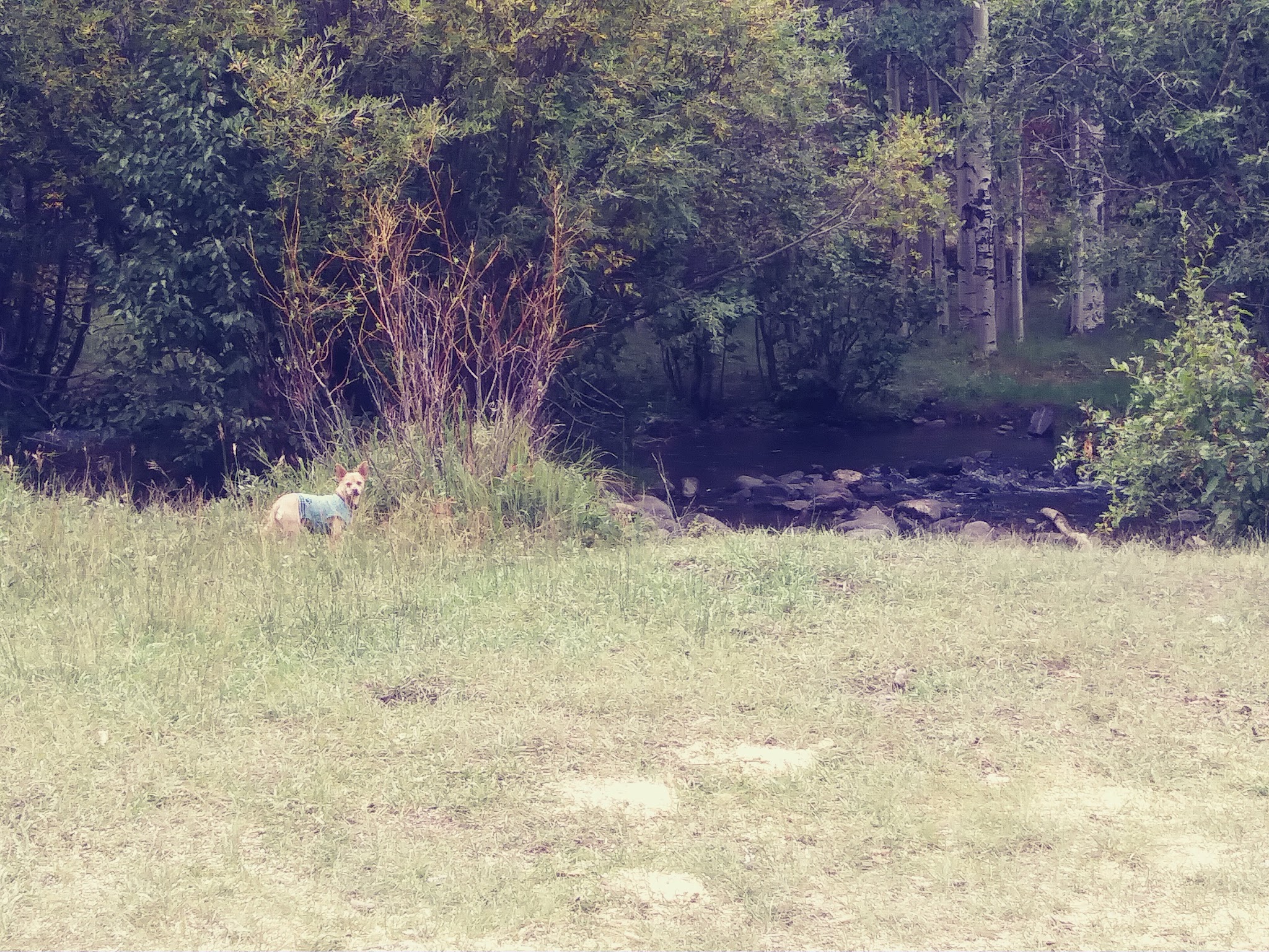 Rock Creek Recreation Area