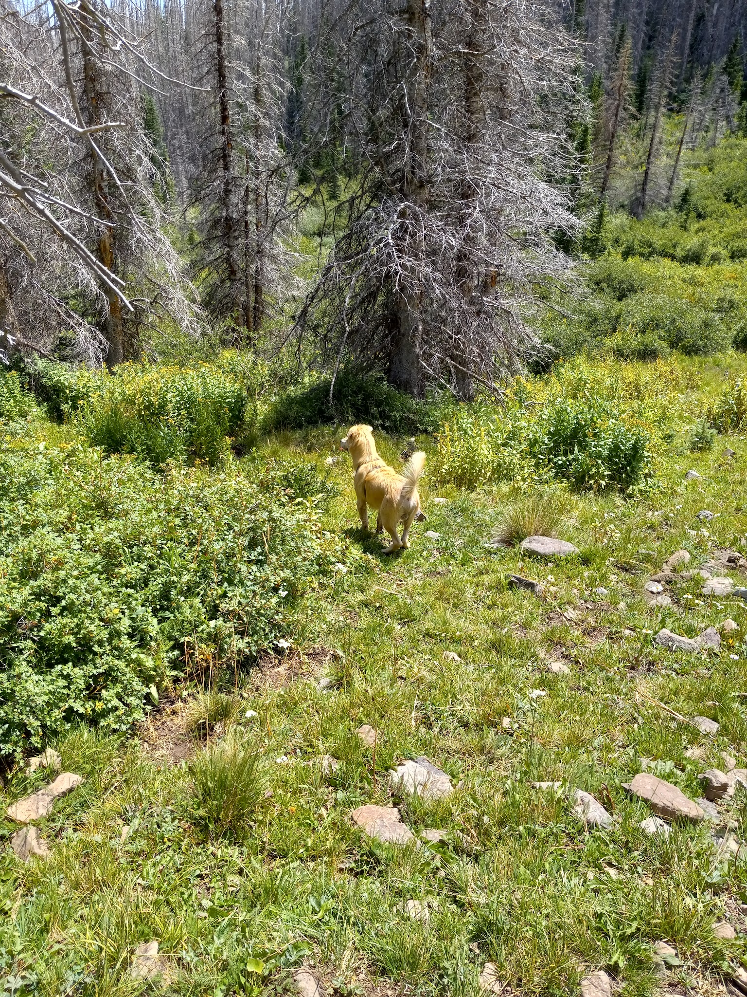 Rock Creek Recreation Area
