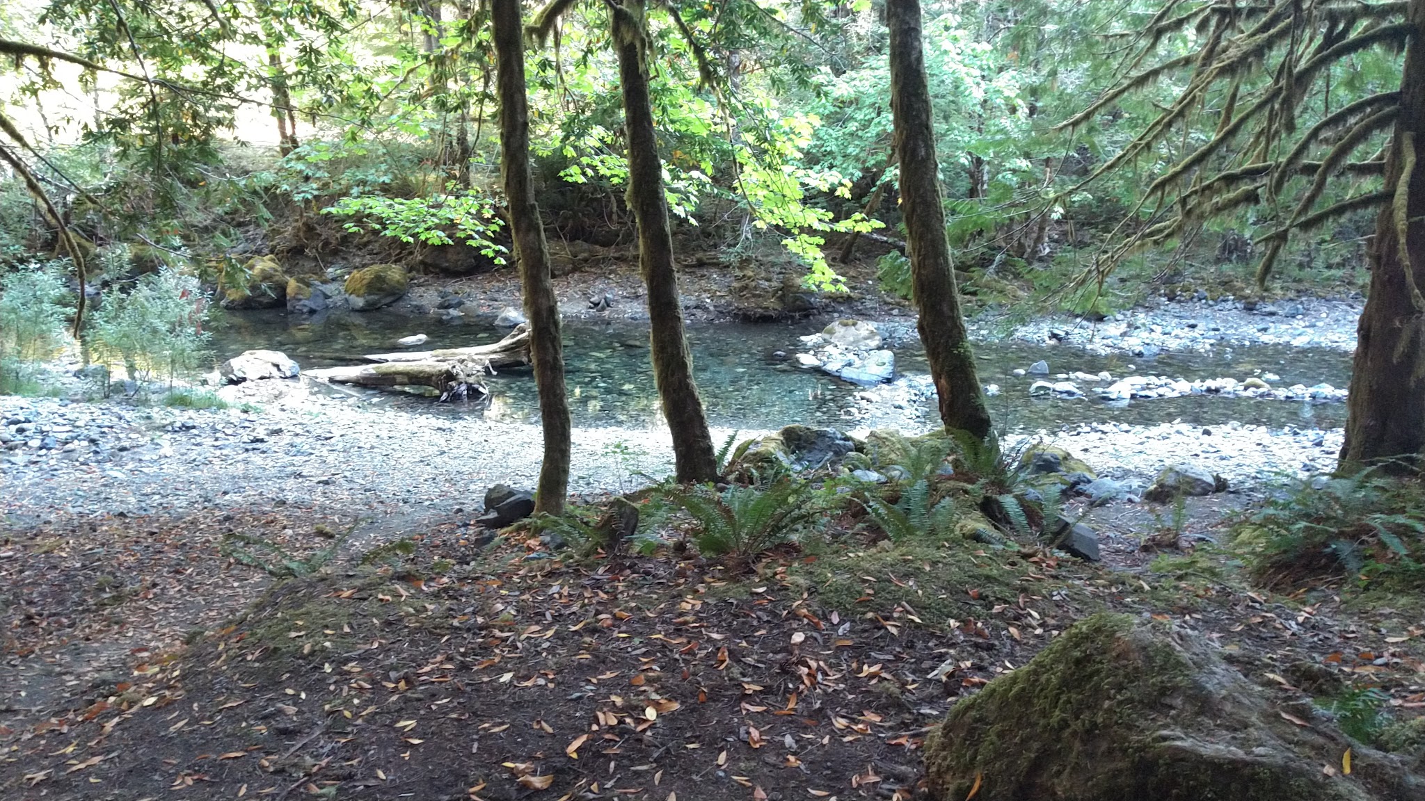 Rock Creek Campground