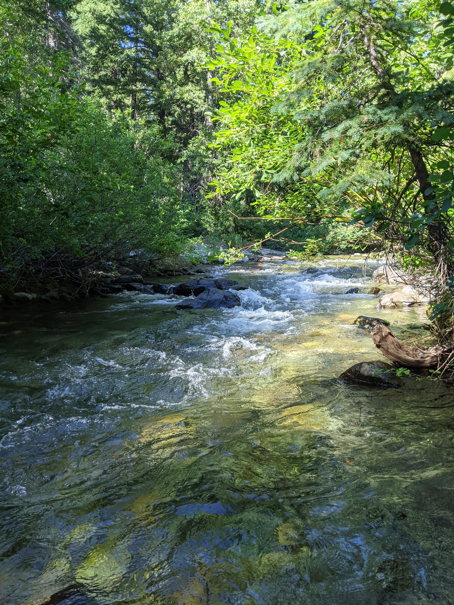 Rock Creek Campground