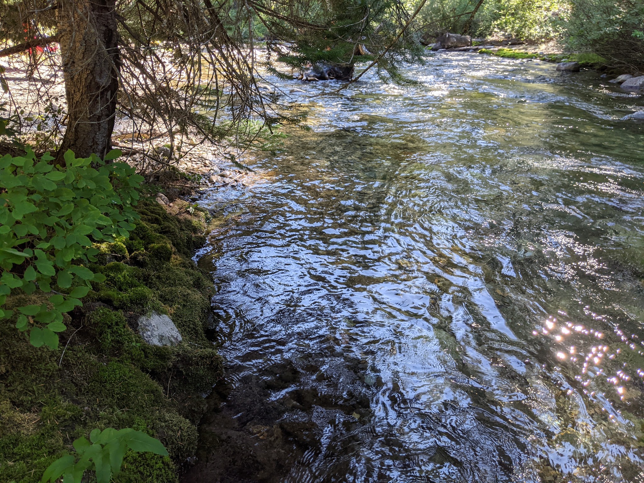 Rock Creek Campground