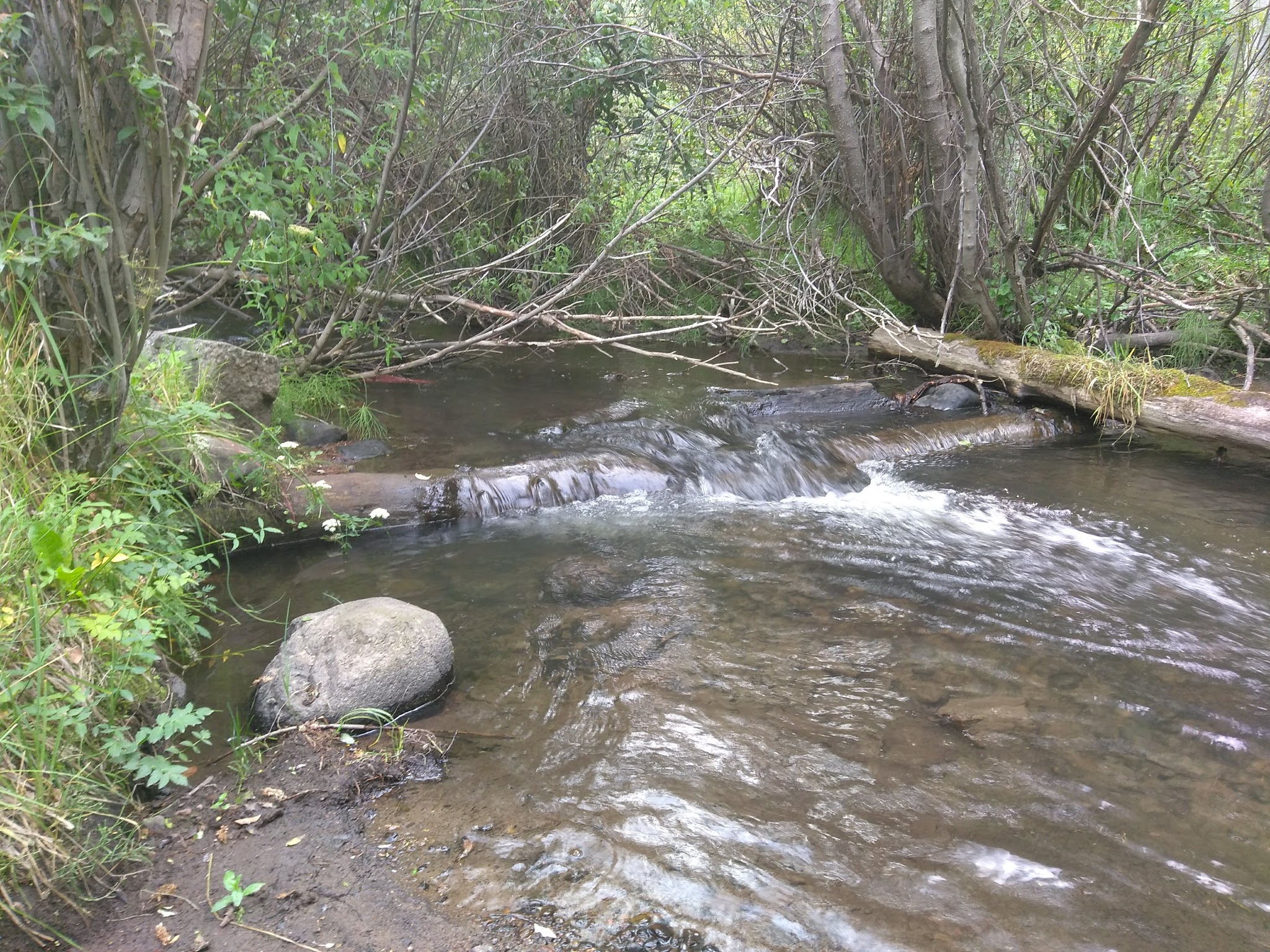 Rock Creek Recreation Area