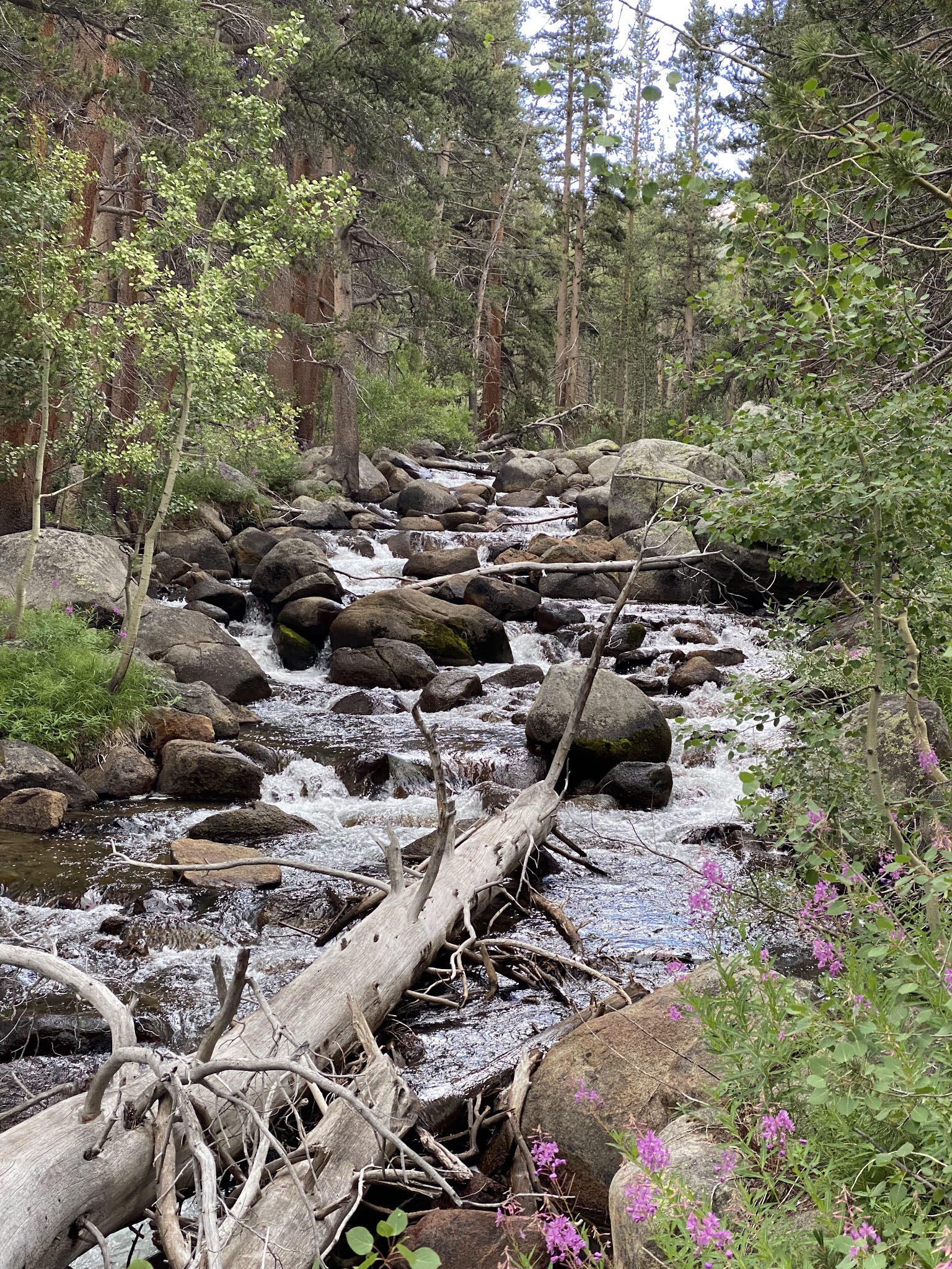 Rock Creek (Sierra National Forest, Ca)