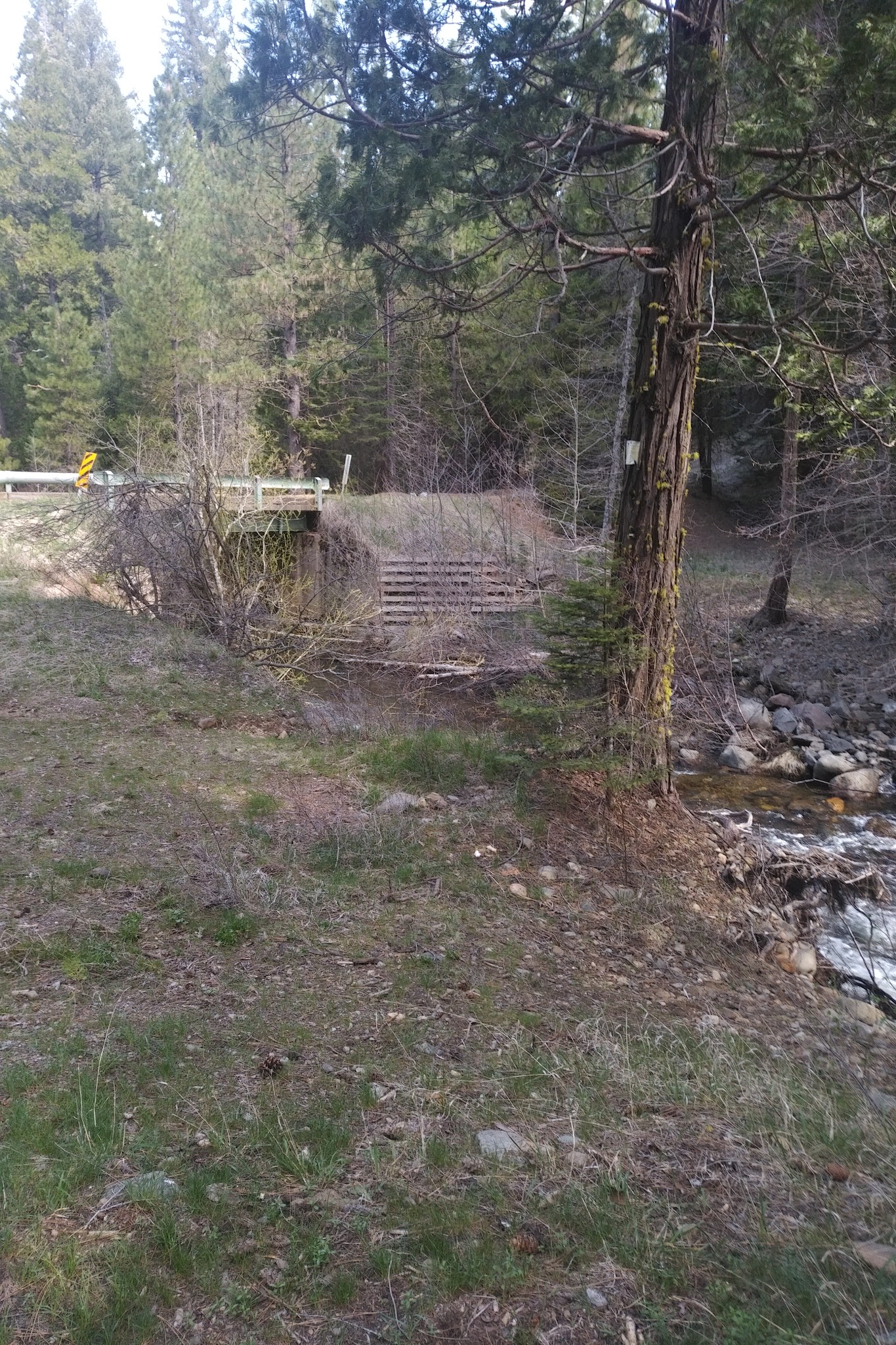 Rock Creek Campground