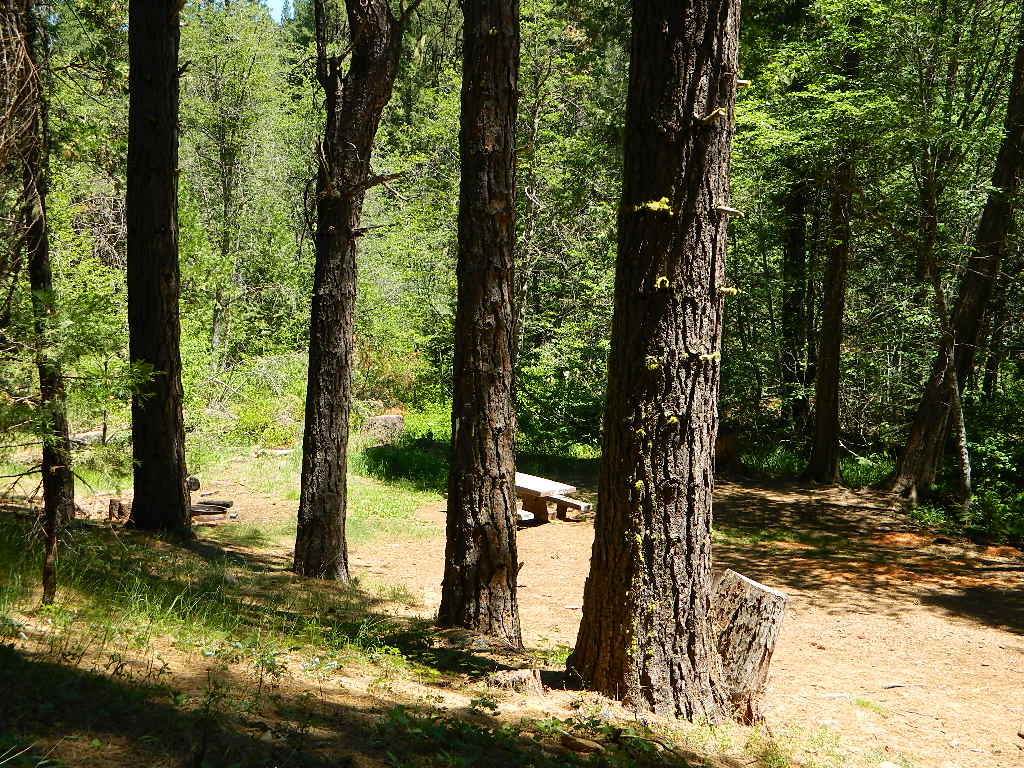 Rock Creek Campground