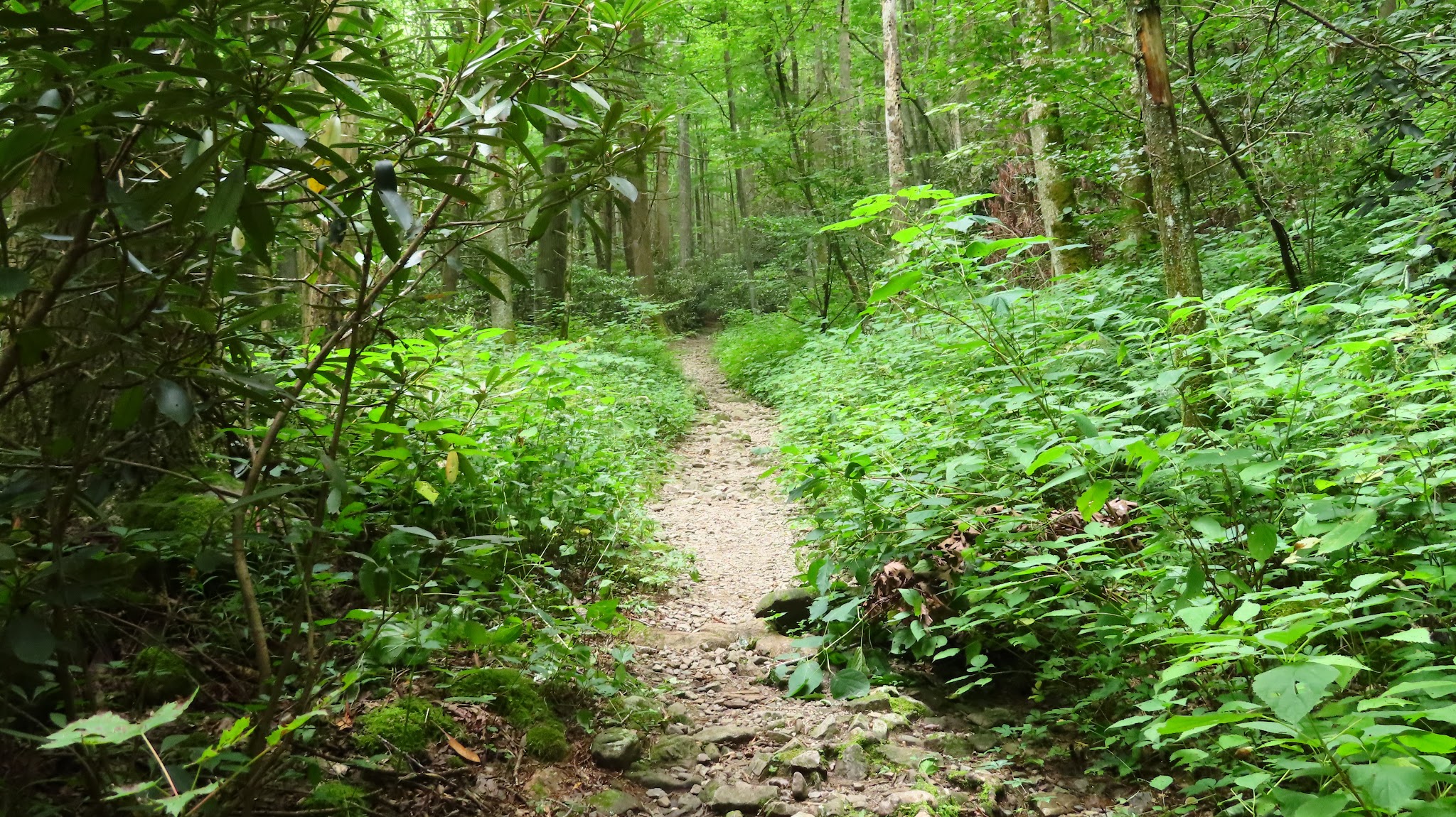 Rock Creek Recreation Area