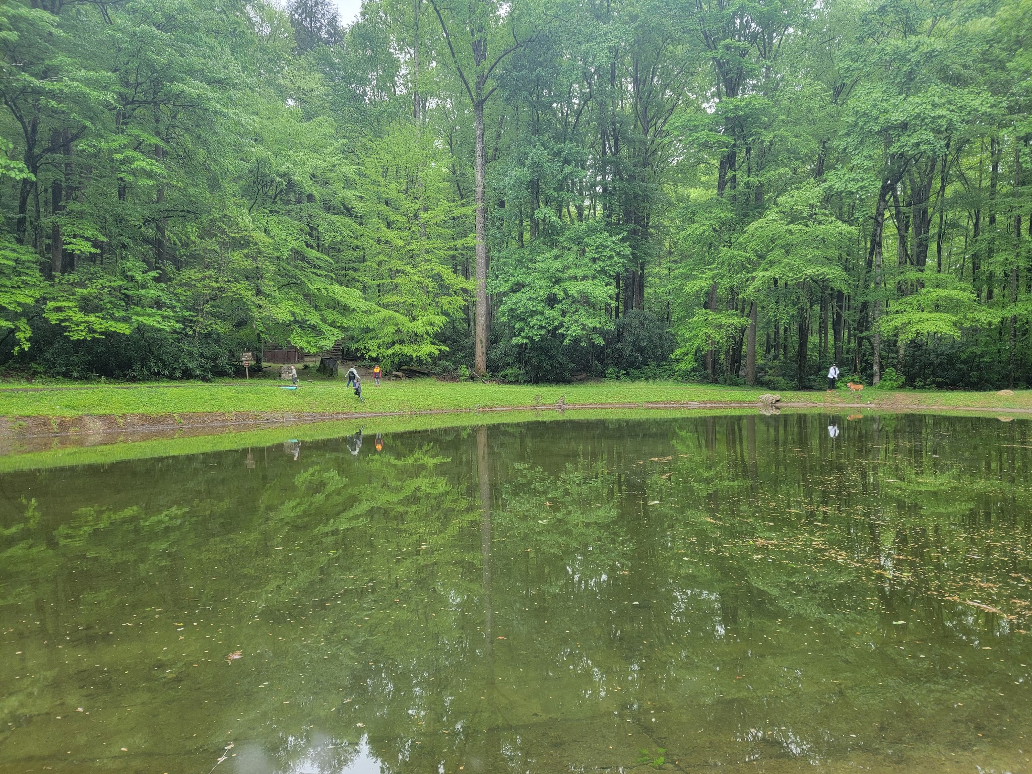 Rock Creek Recreation Area