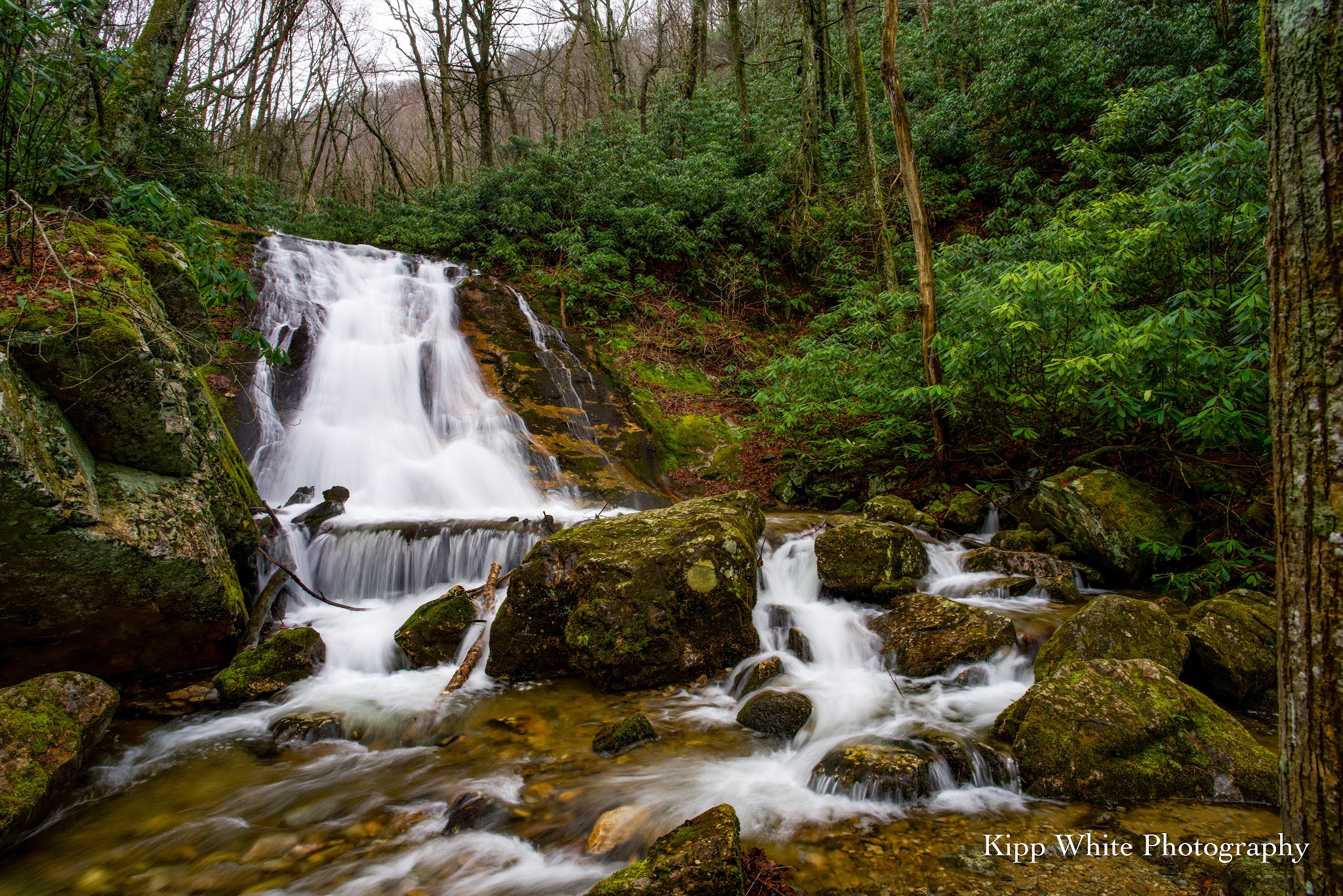 Rock Creek Recreation Area