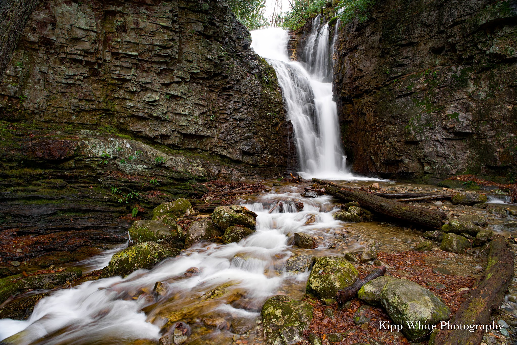 Rock Creek Recreation Area (Cherokee National Forest, Tn)