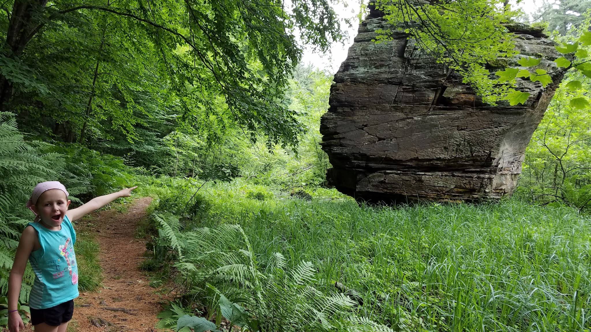 Rocky Arbor State Park