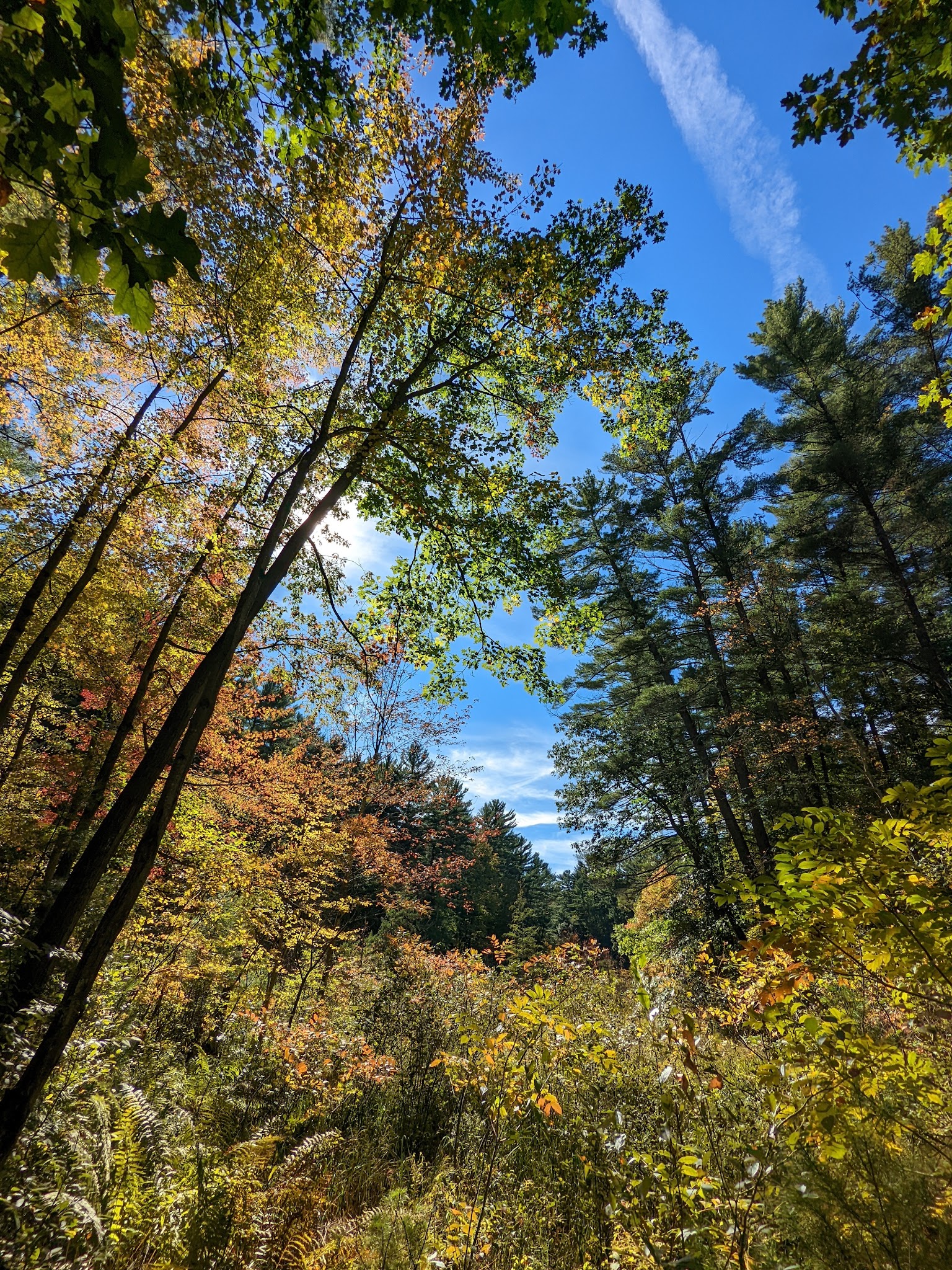 Rocky Arbor State Park