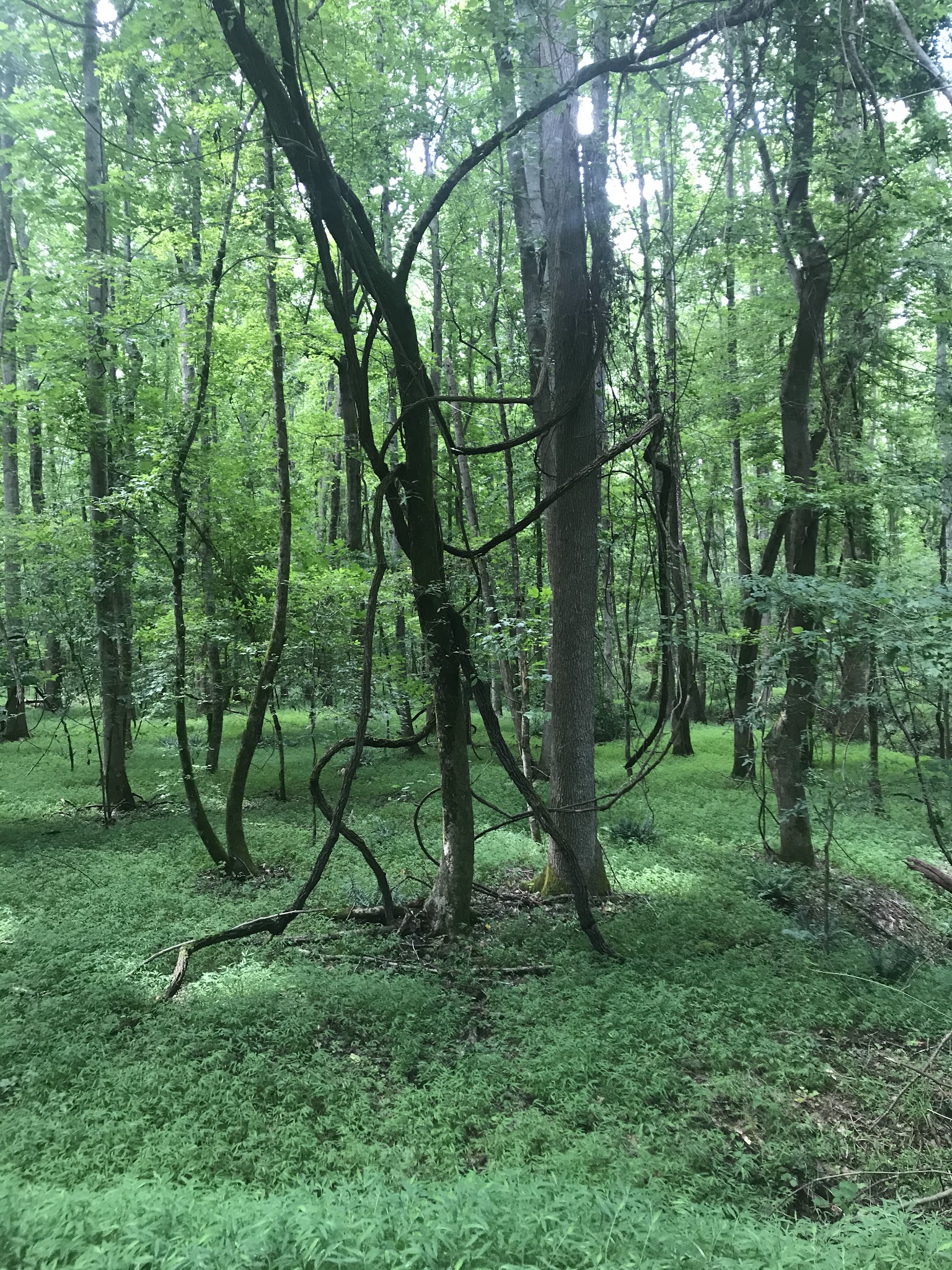 Rocky Branch Seasonal Camp