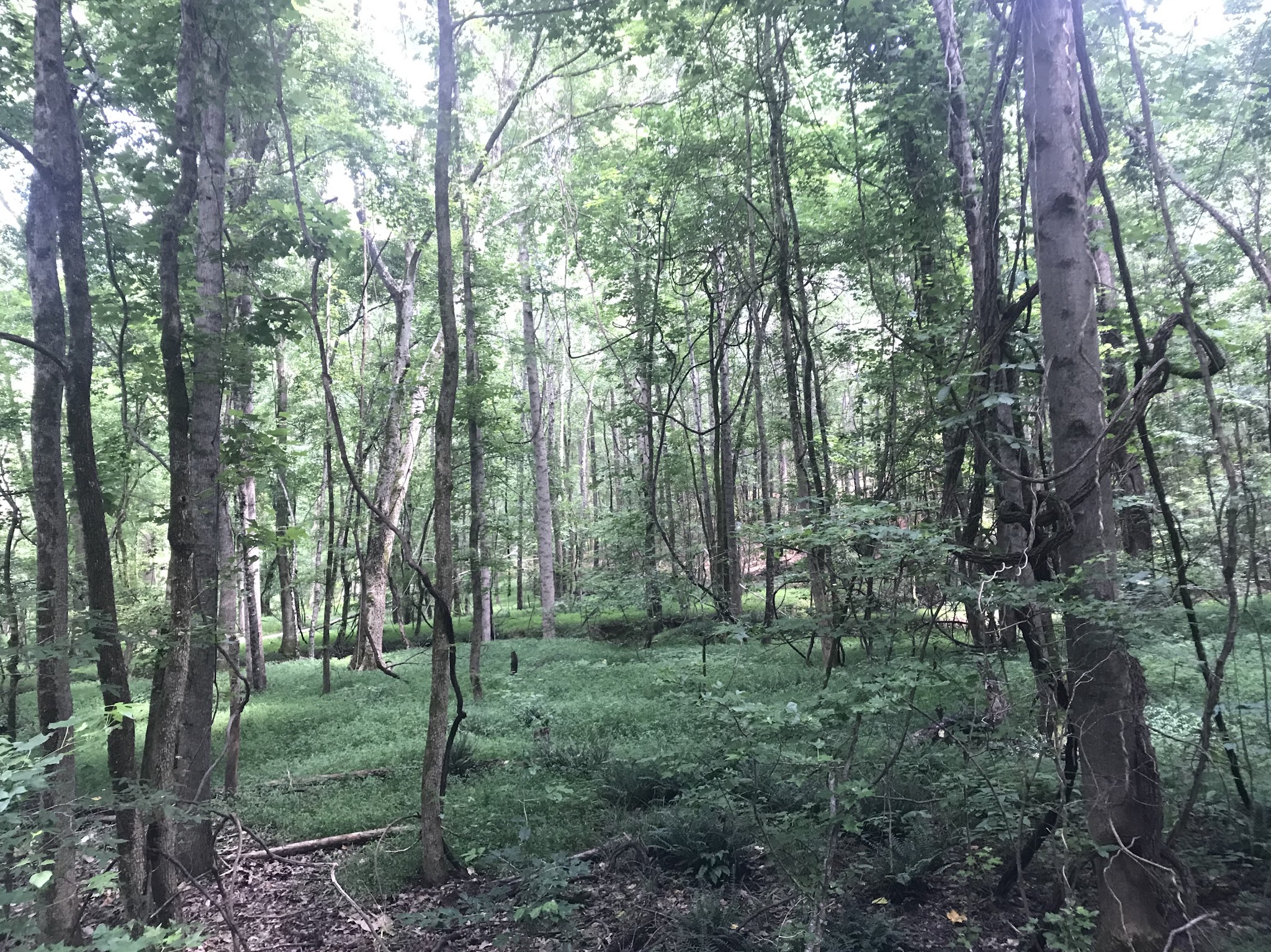 Rocky Branch Seasonal Camp