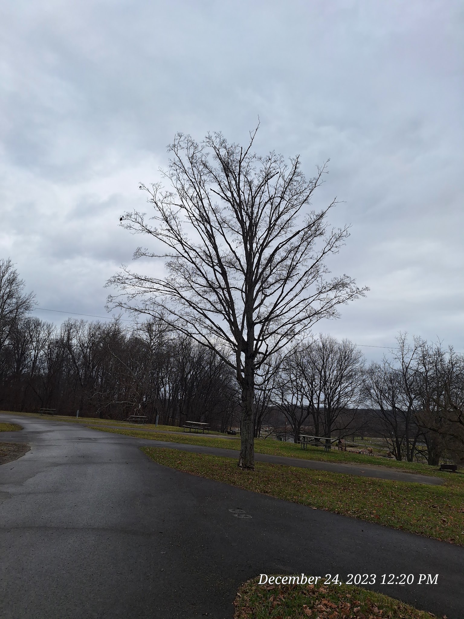 Rocky Fork Activity Center Campground