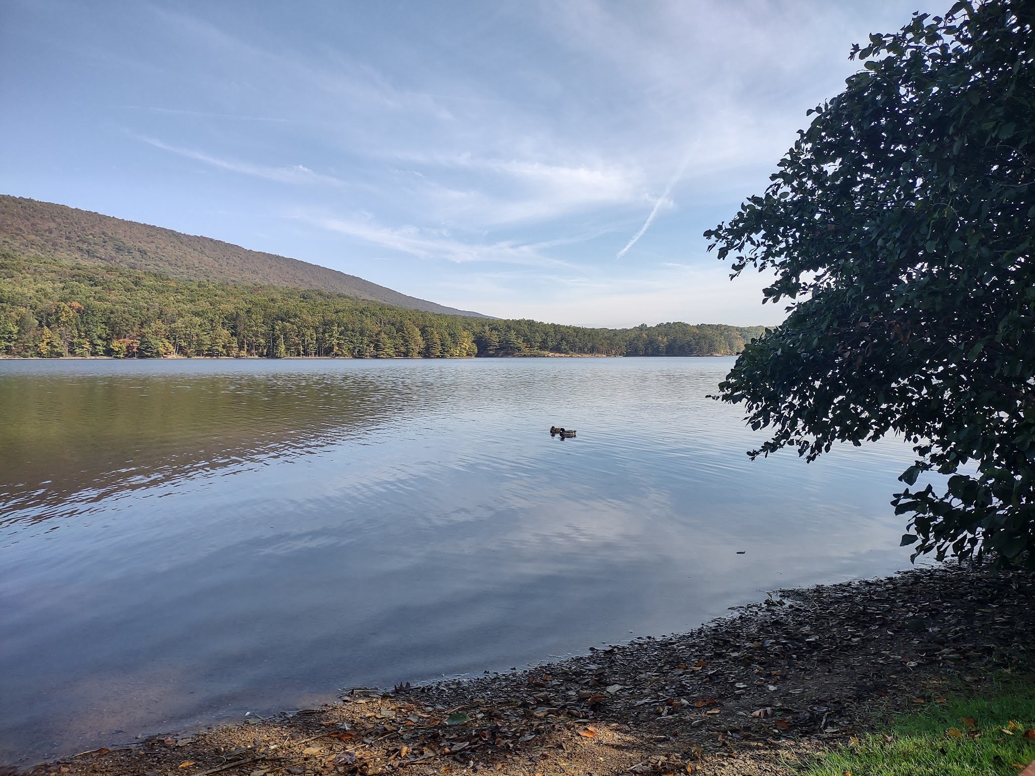 Rocky Gap State Park