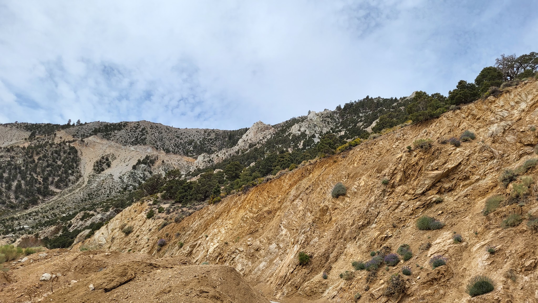 Cottonwood Pass Walk In Campground