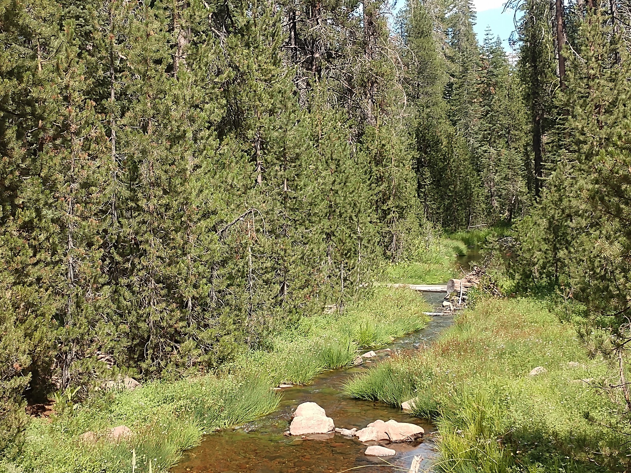 Rocky Knoll Campground