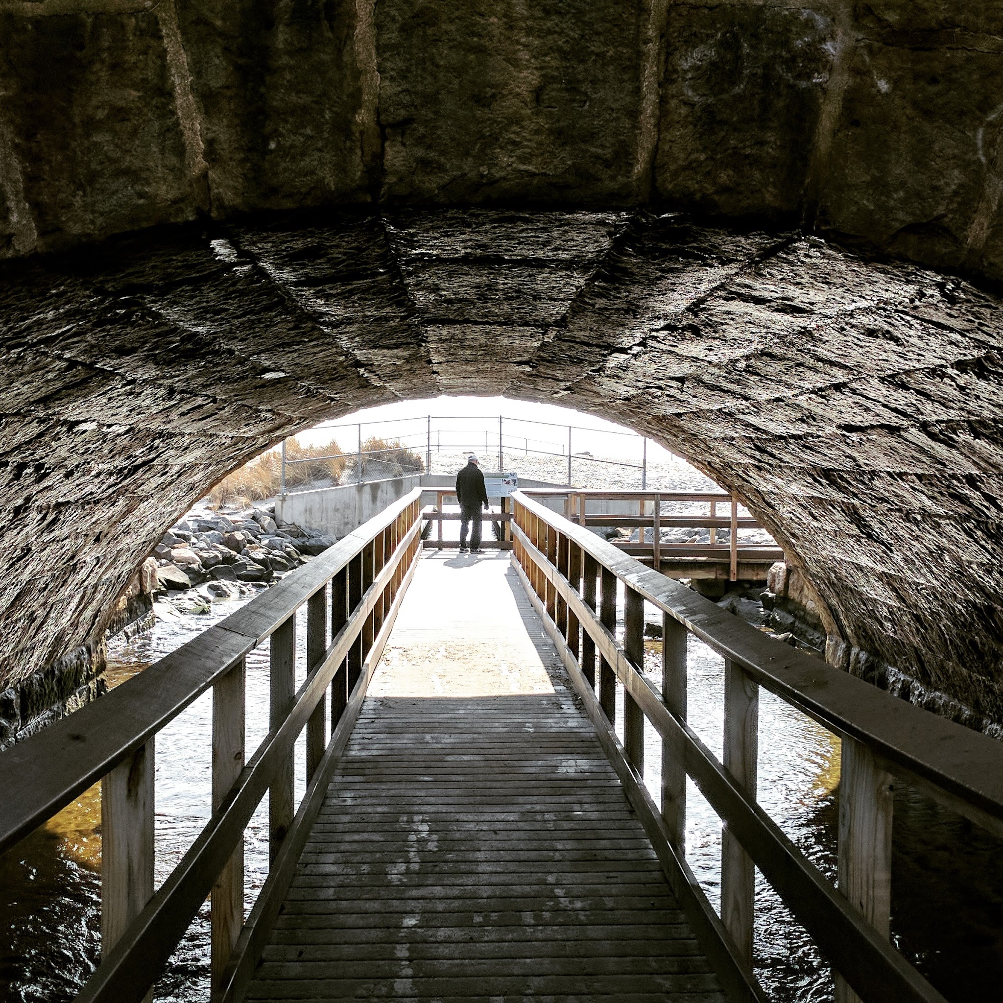 Rocky Neck State Park