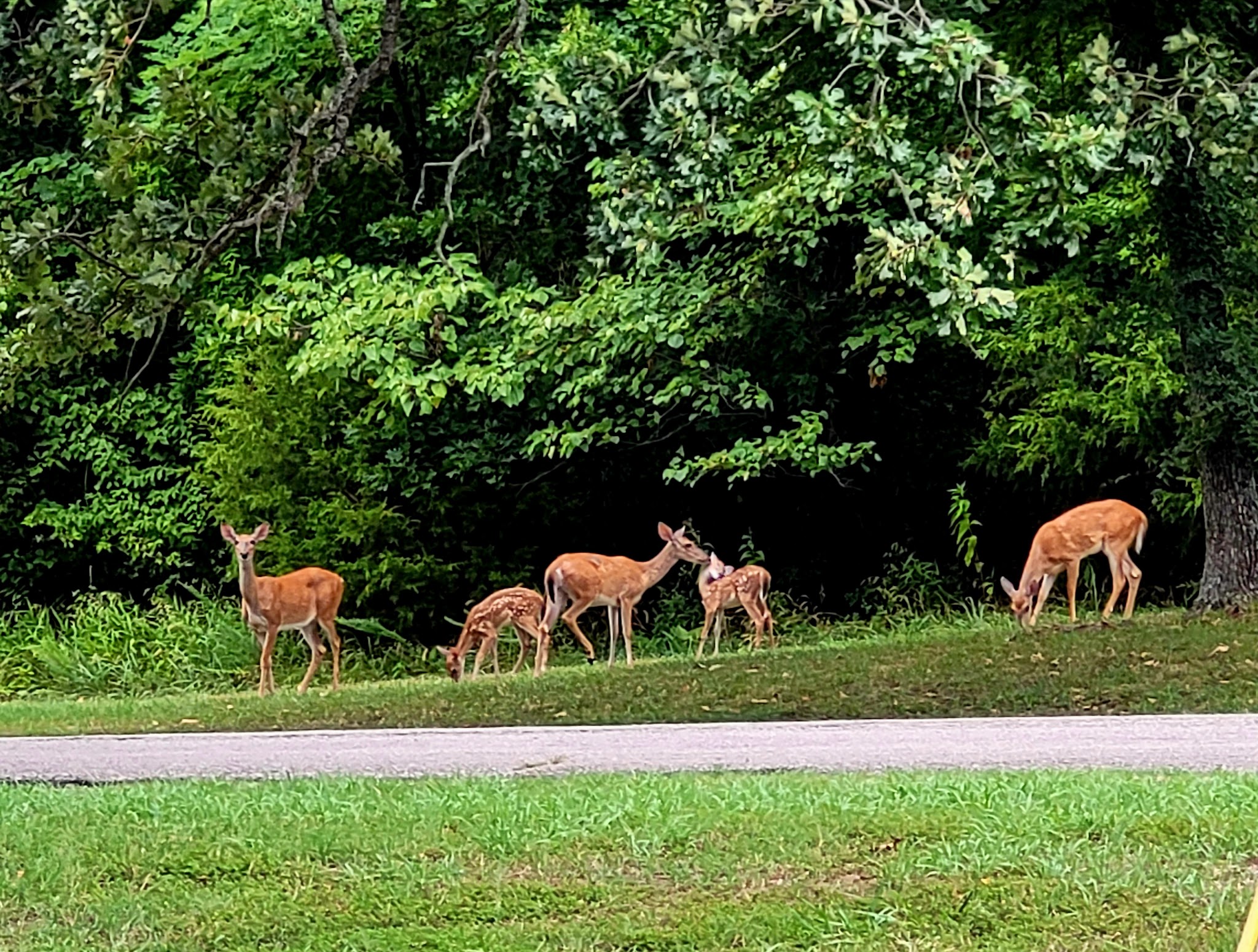 Rocky Point (Ft Gibson)