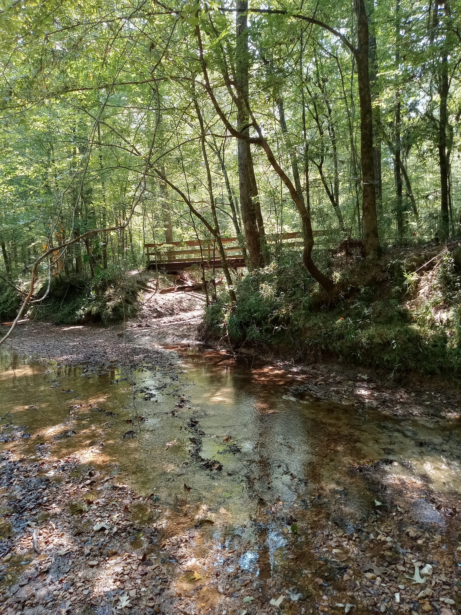 Rocky Springs Campground, Milepost 54.8