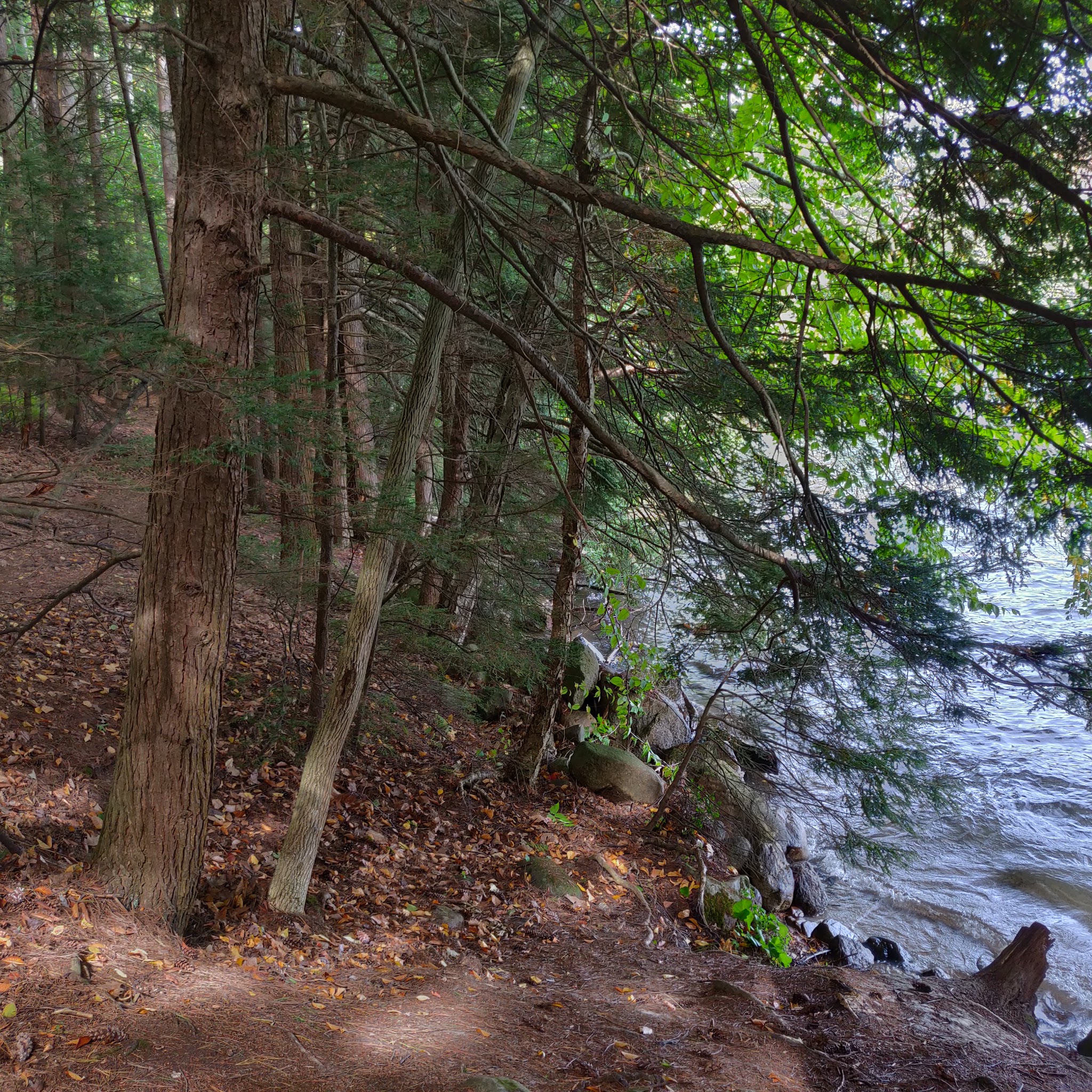 Rogers Rock Campground