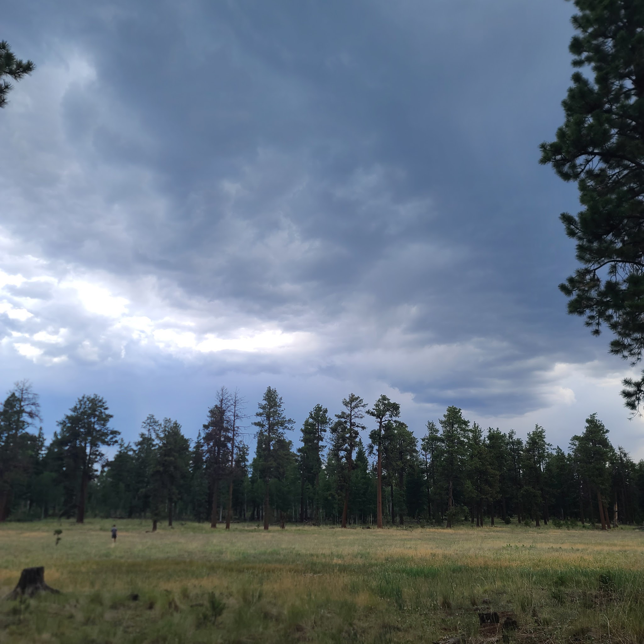 Rolfe C. Hoyer Campground