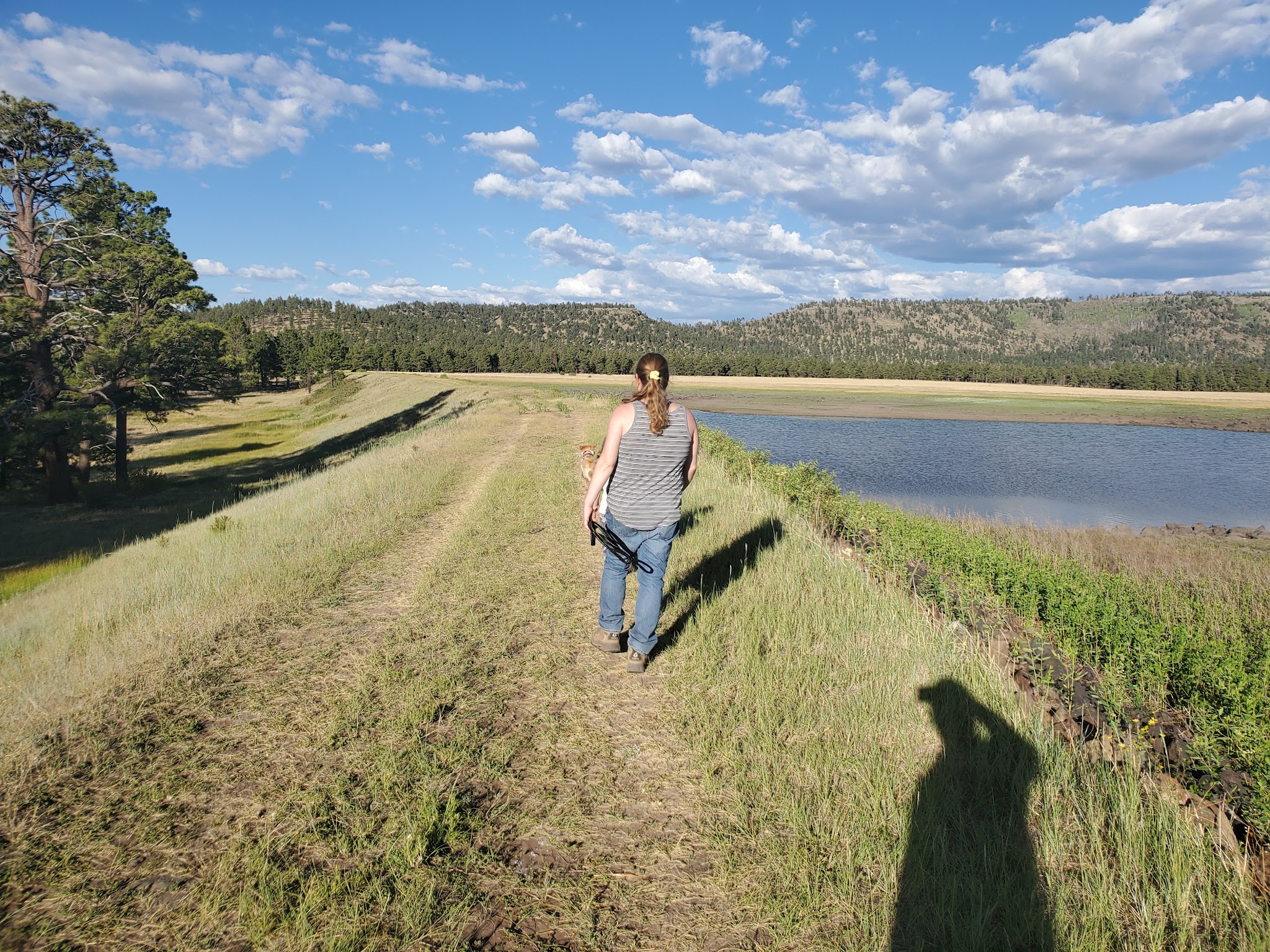 Rolfe C. Hoyer Campground