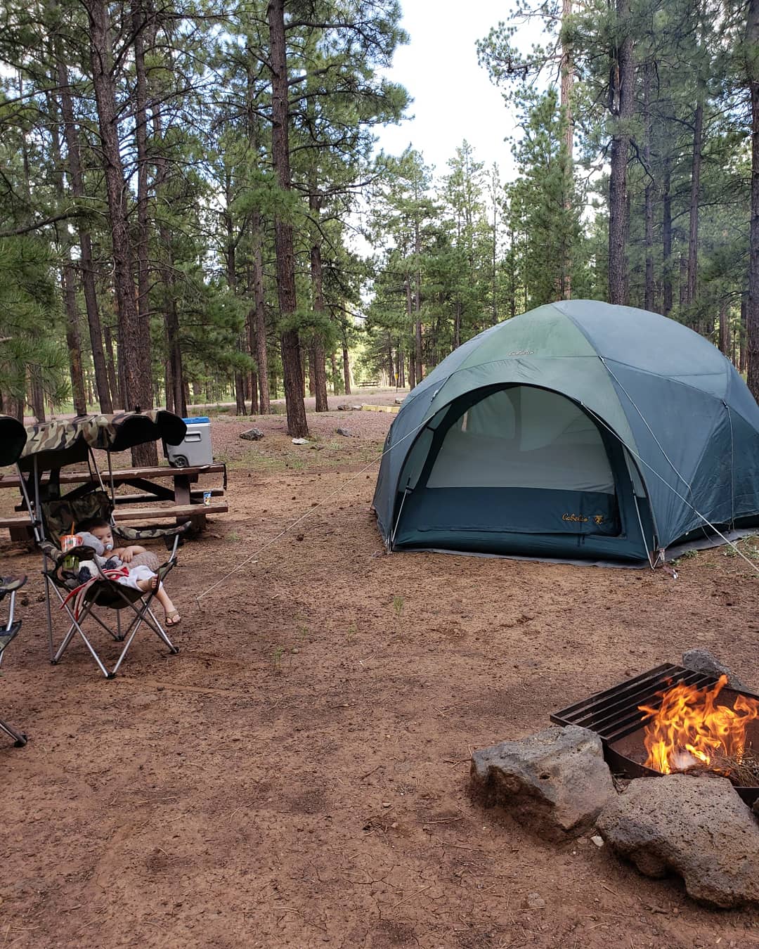 Rolfe C. Hoyer Campground