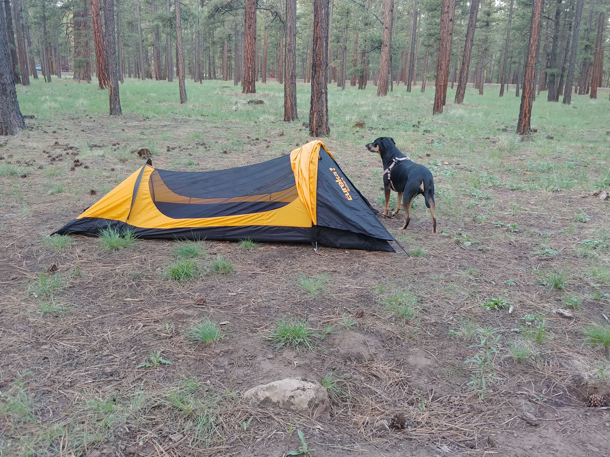 Rolfe C. Hoyer Campground