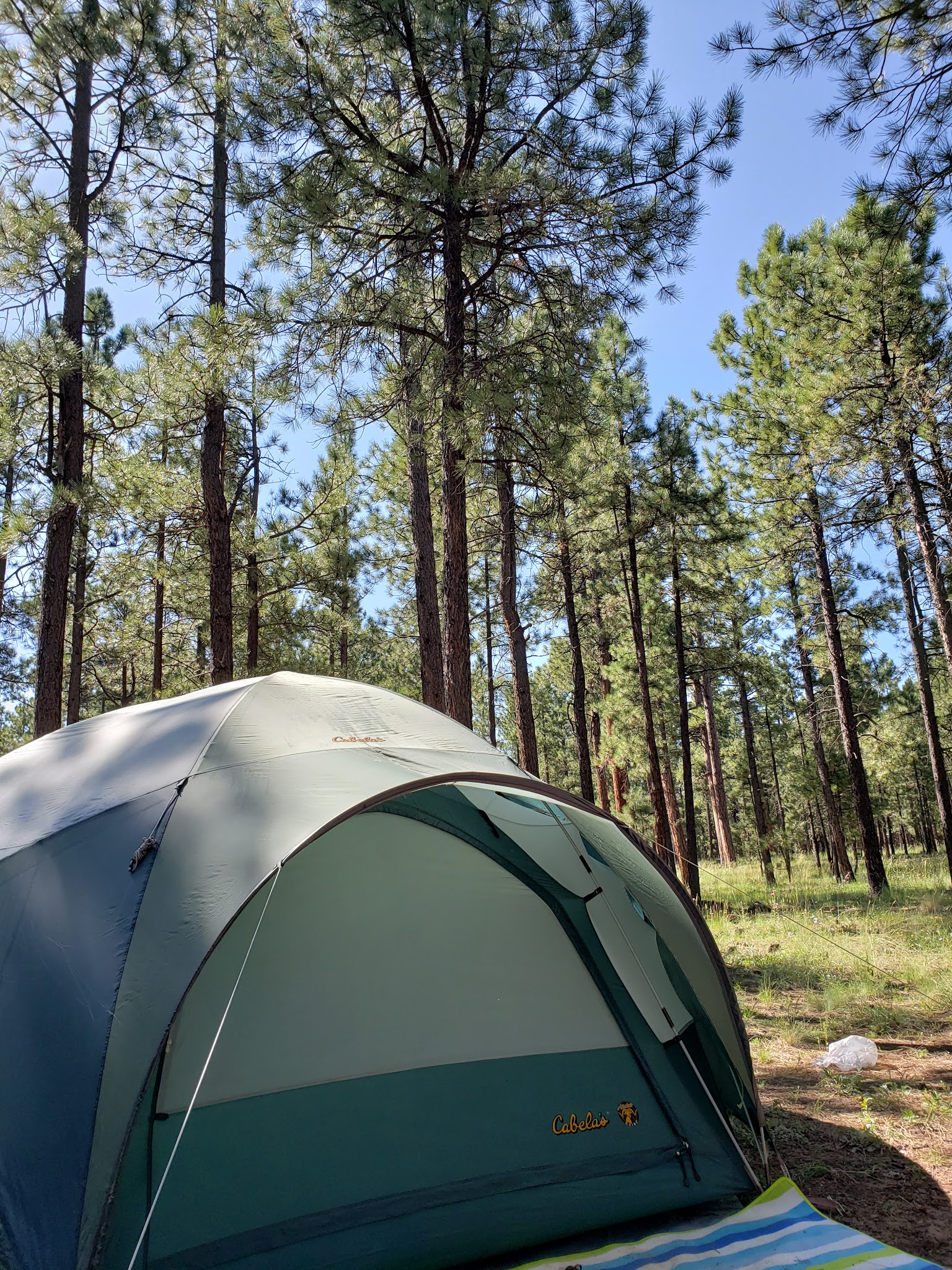 Rolfe C. Hoyer Campground