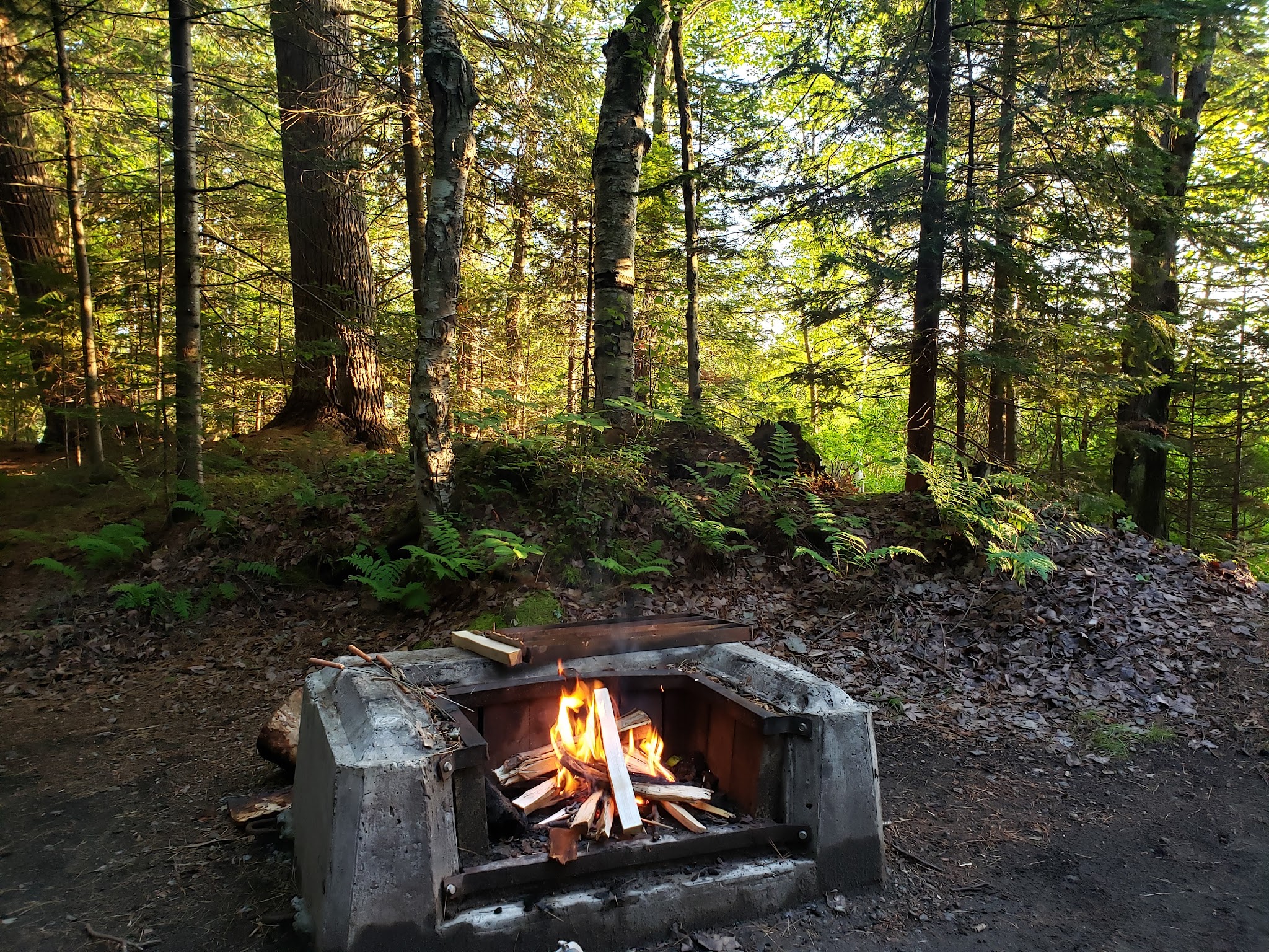 Rollins Pond Campground