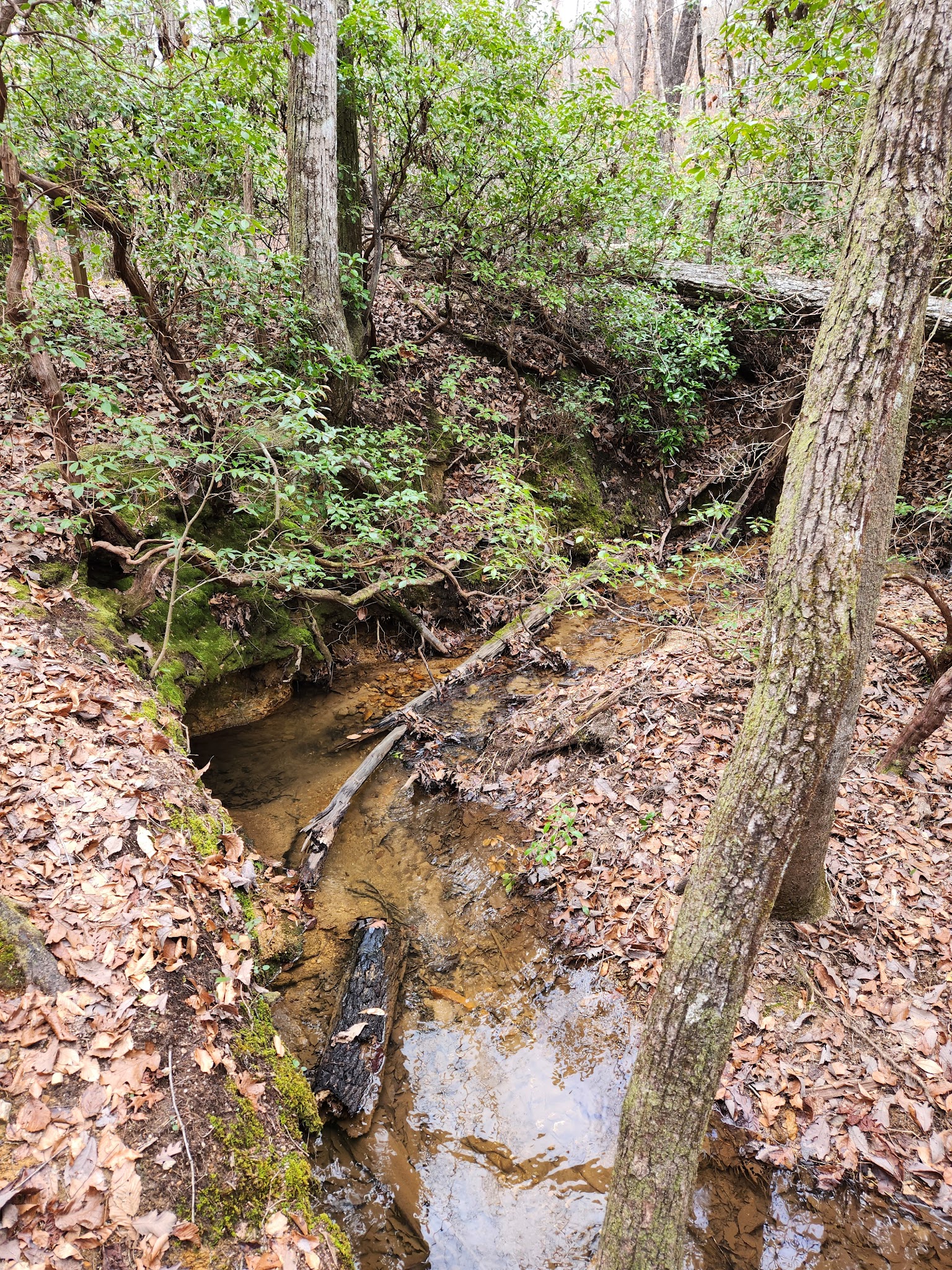 F. D. Roosevelt State Park