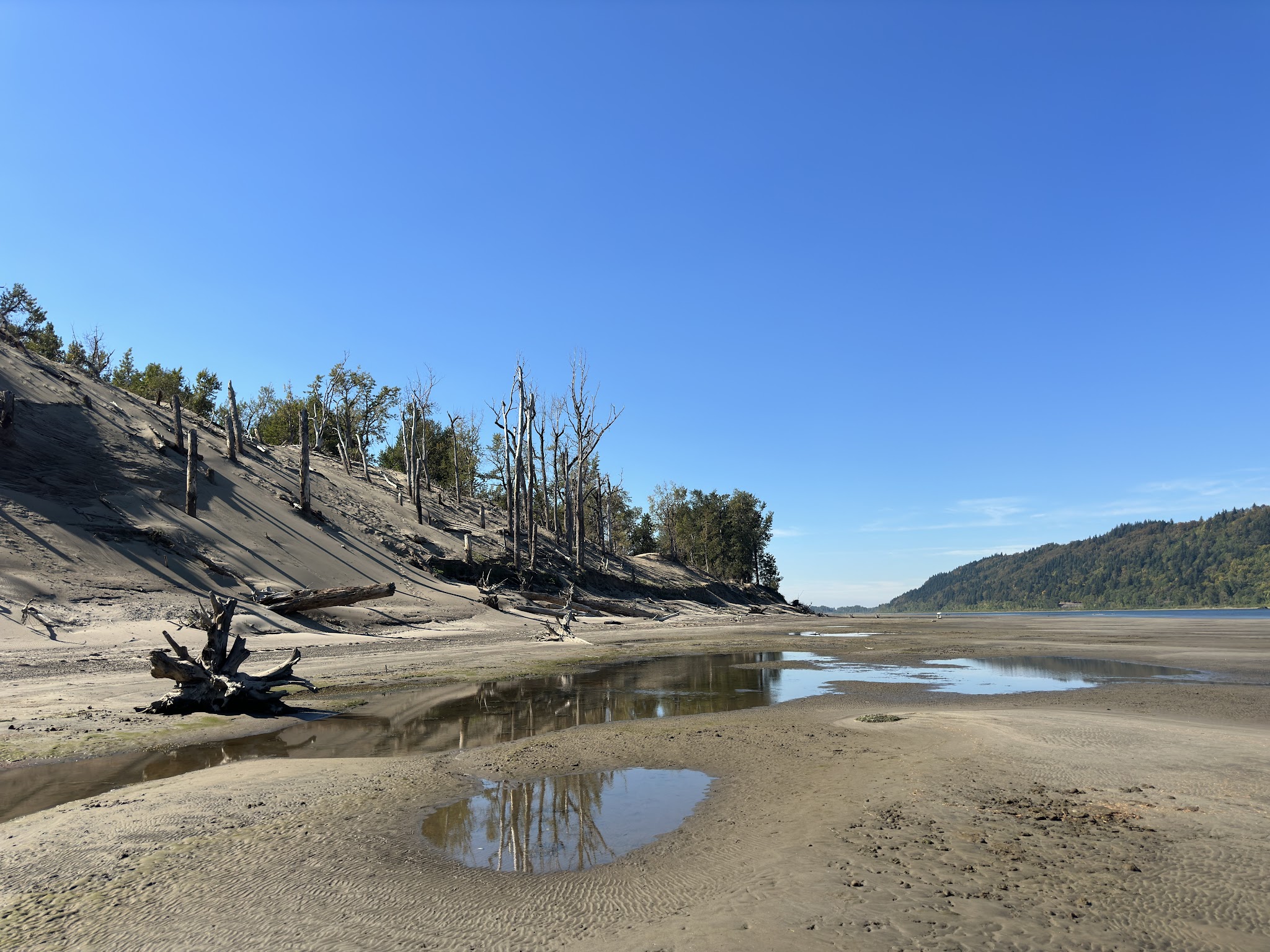 Rooster Rock State Park