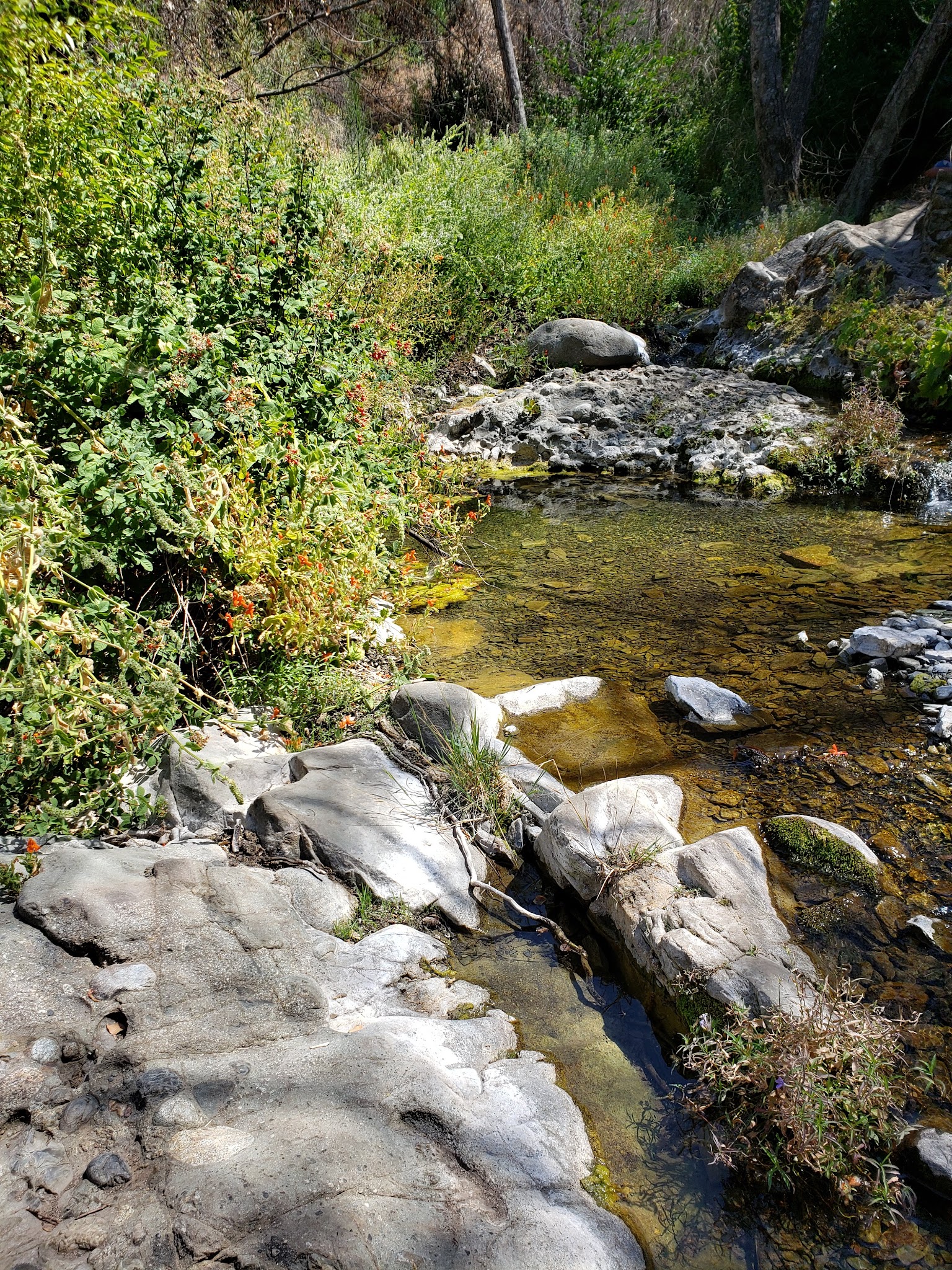 Rose Valley Campground