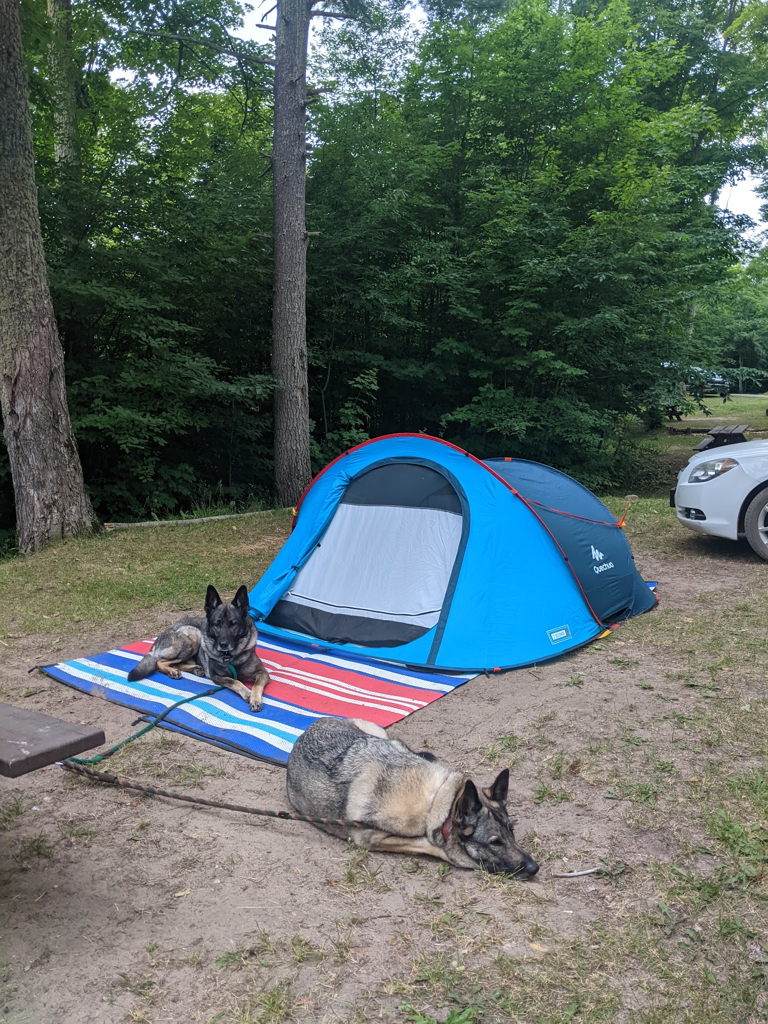 Ross Lake State Forest Campground