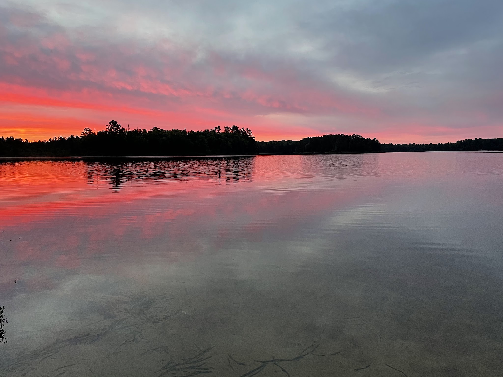 Ross Lake State Forest Campground