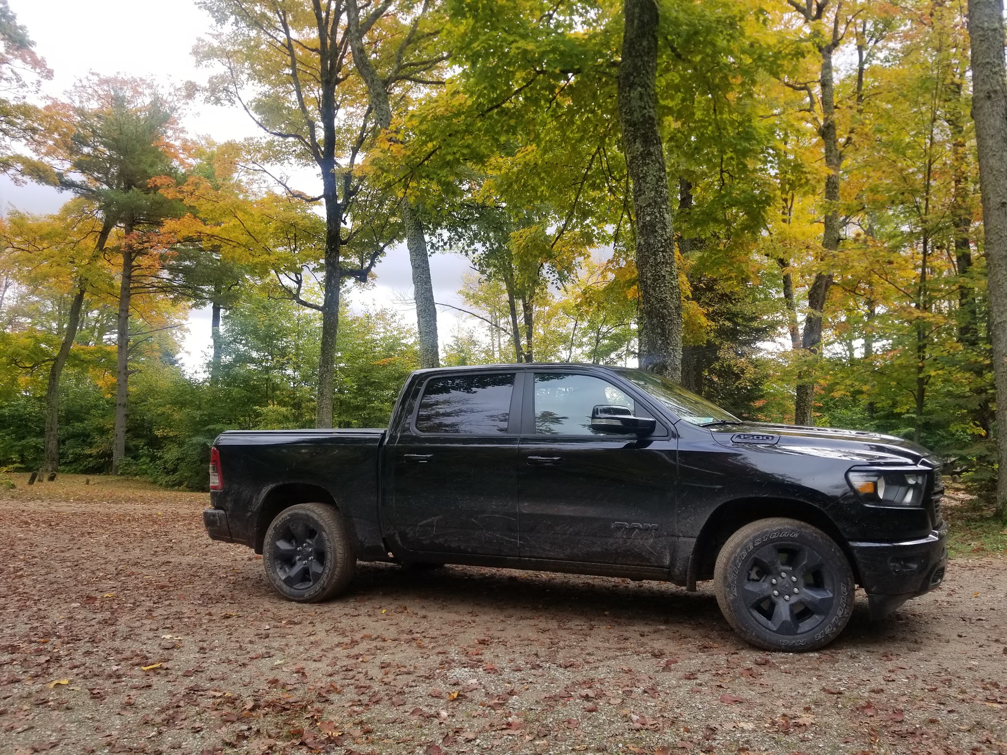 Ross Lake State Forest Campground