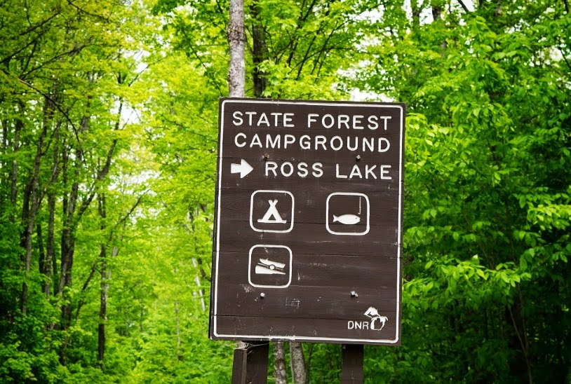 Ross Lake State Forest Campground