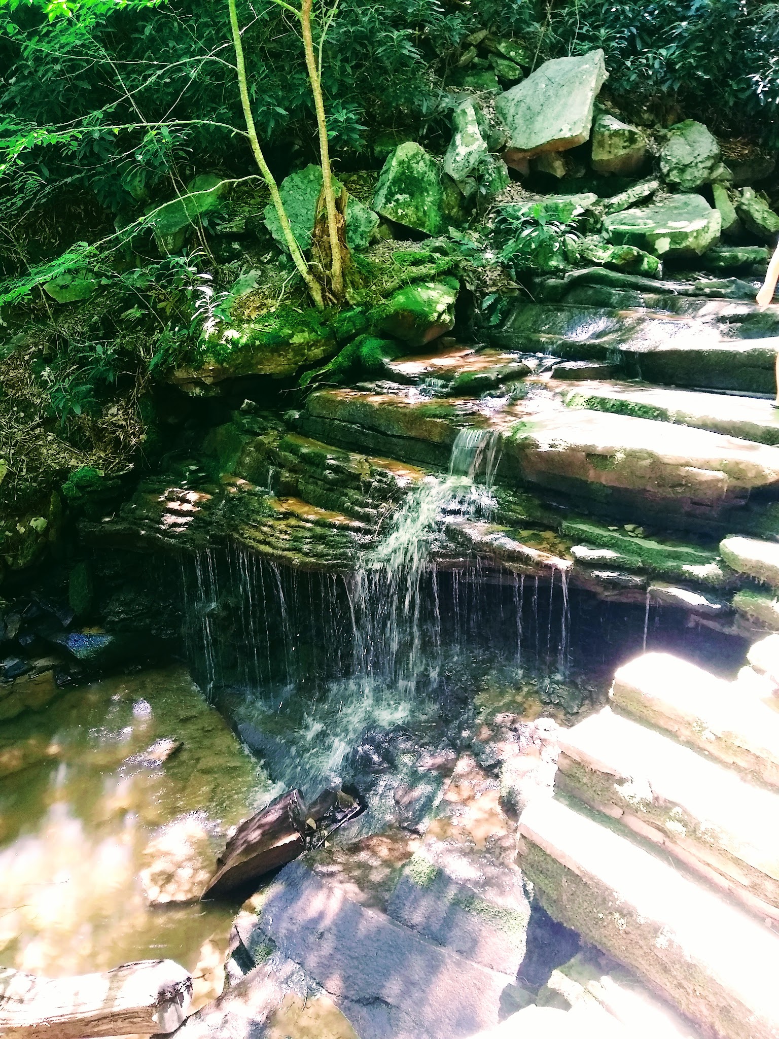 Rothrock State Forest