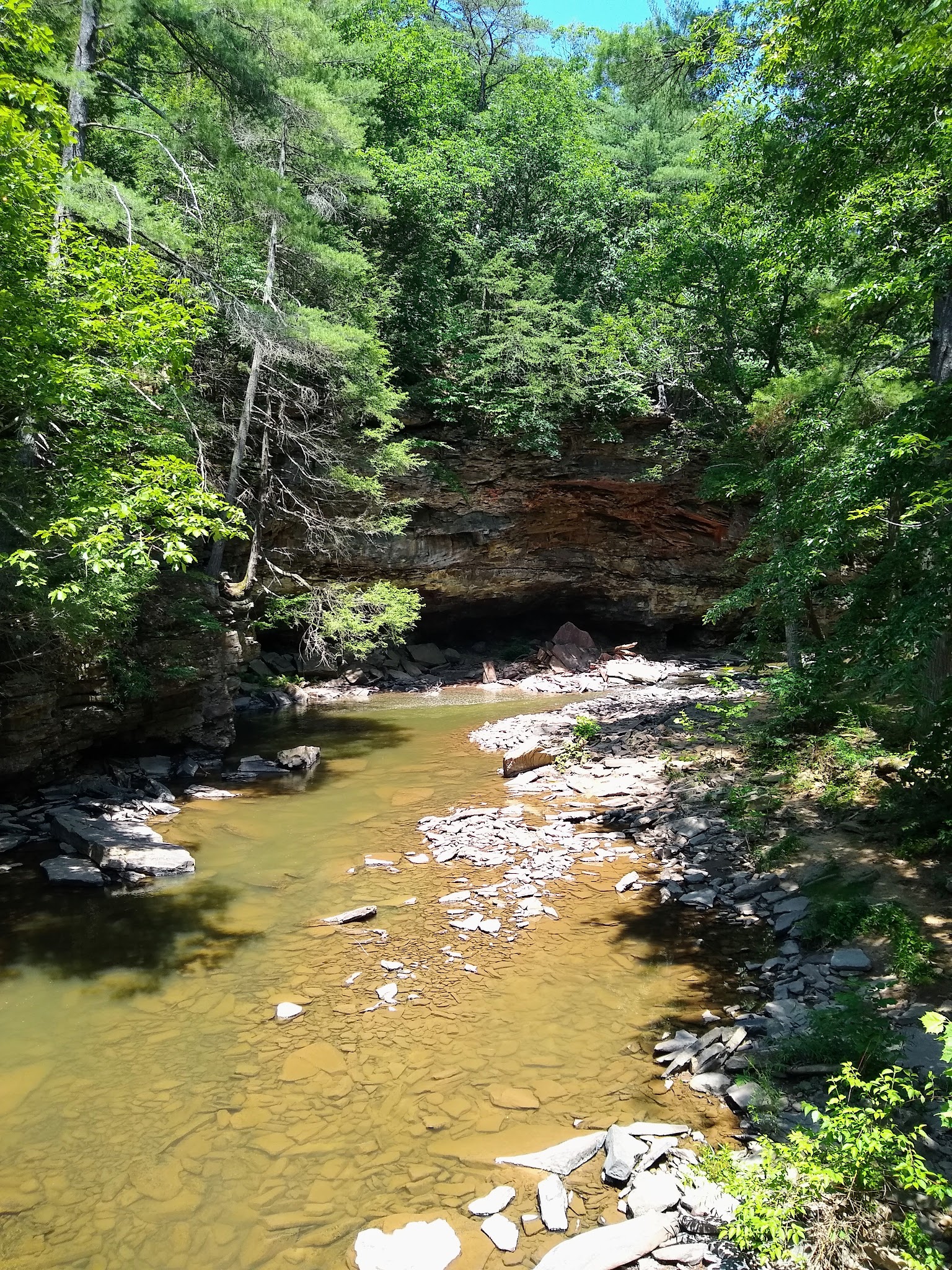 Rothrock State Forest