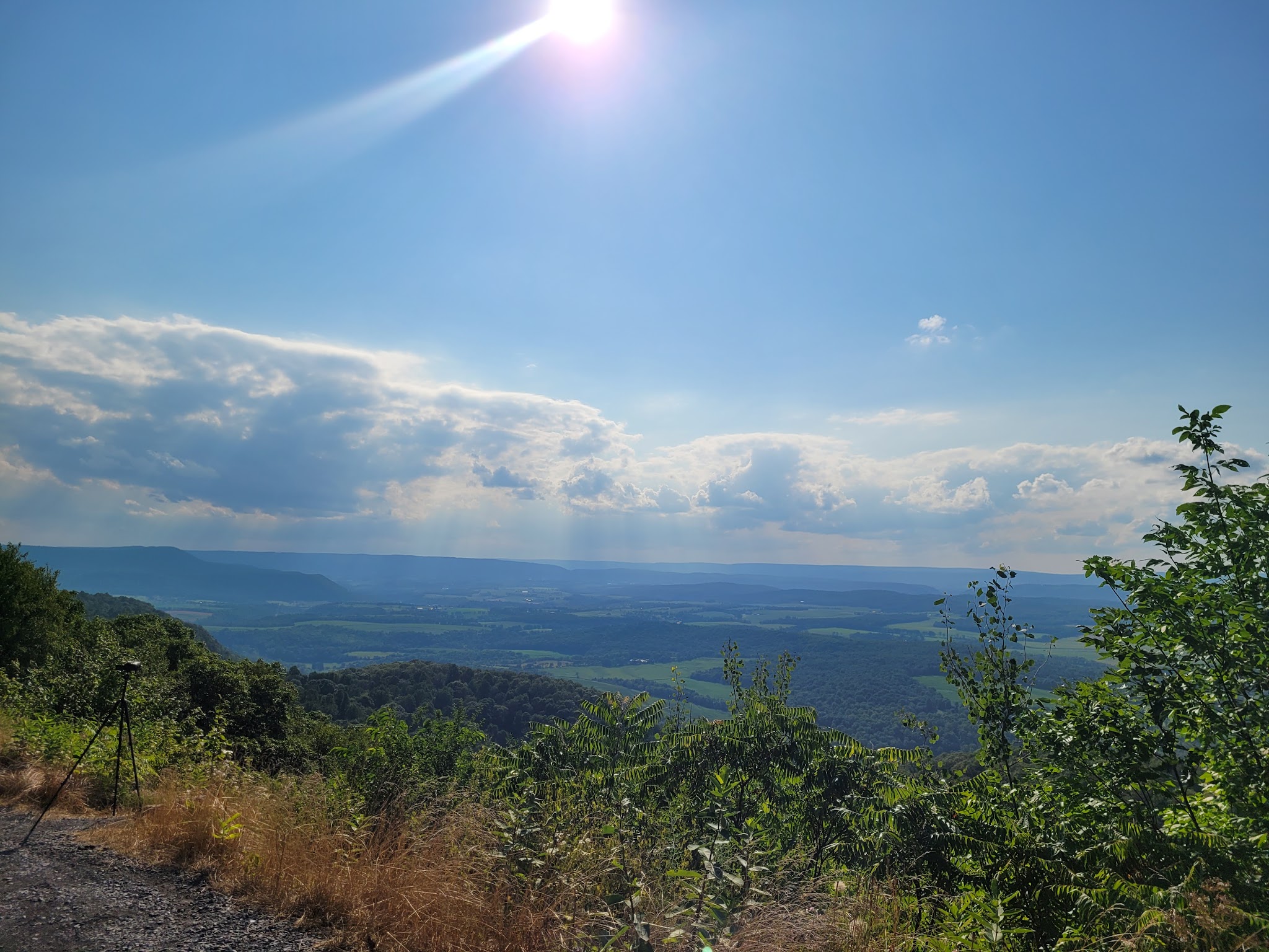 Rothrock State Forest