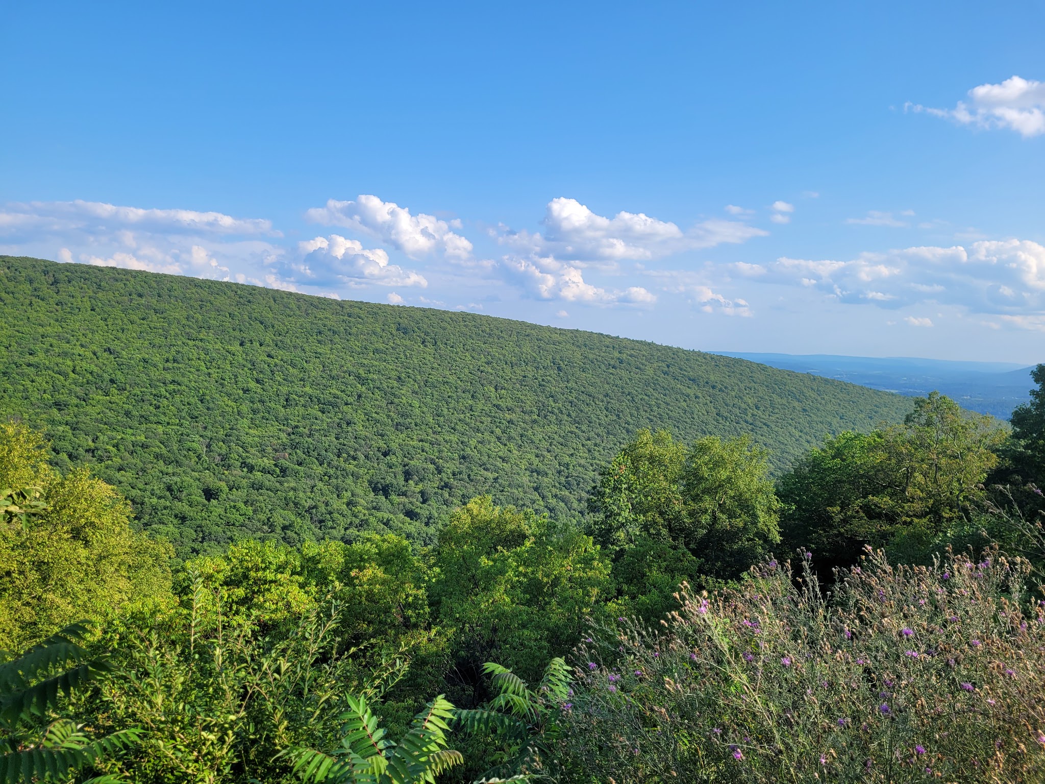Rothrock State Forest