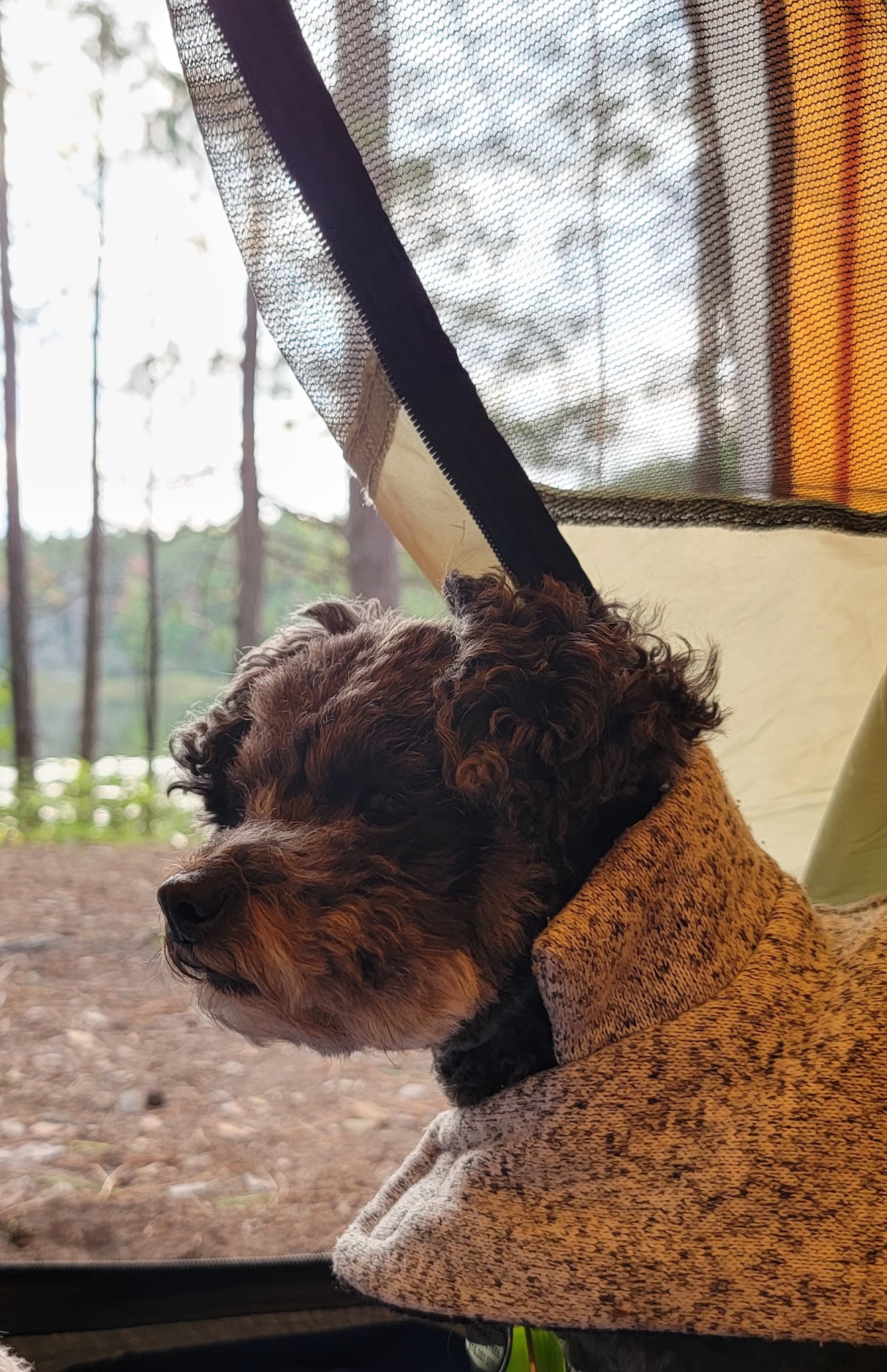 Round Lake State Forest Campground