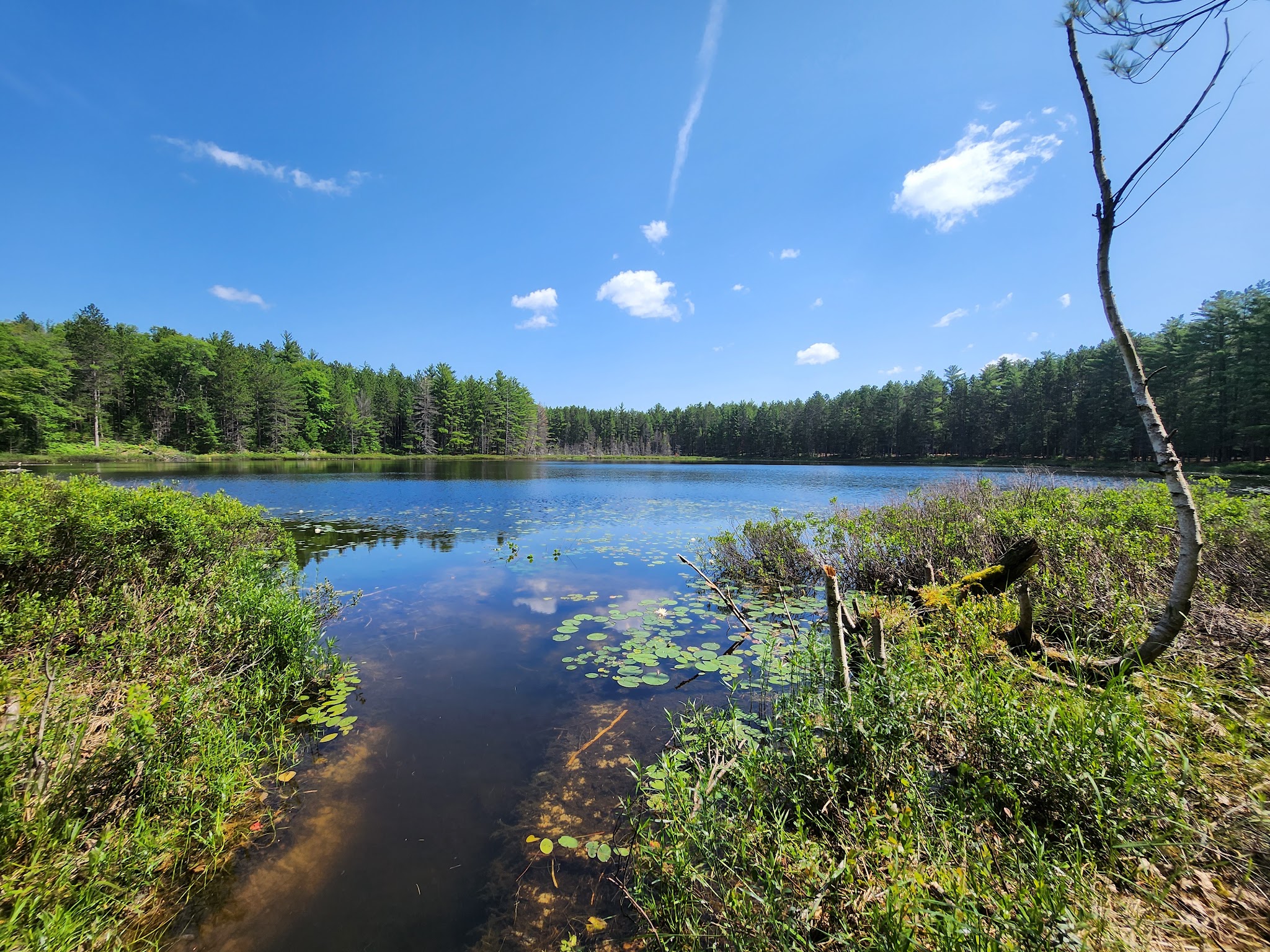 Round Lake State Forest Campground