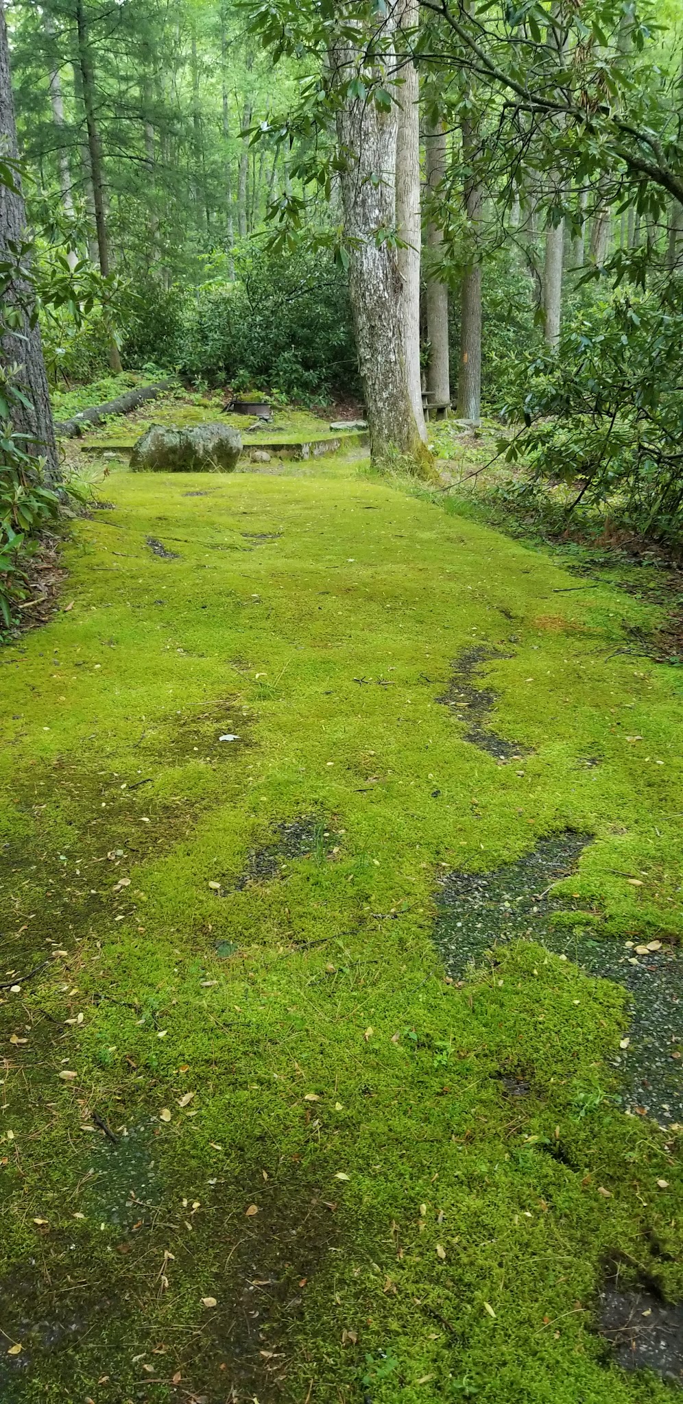 Round Mountain Campground