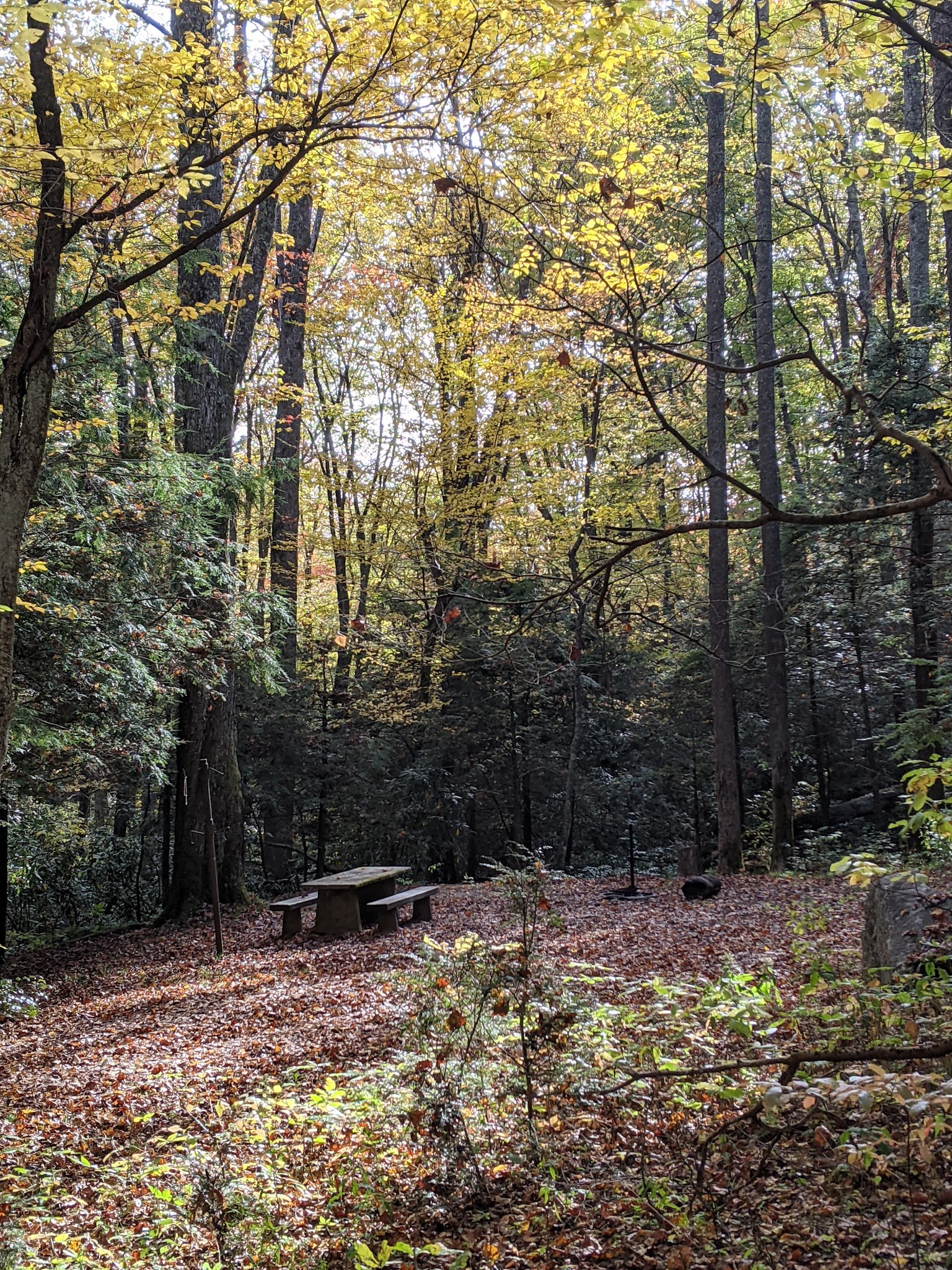 Round Mountain Campground