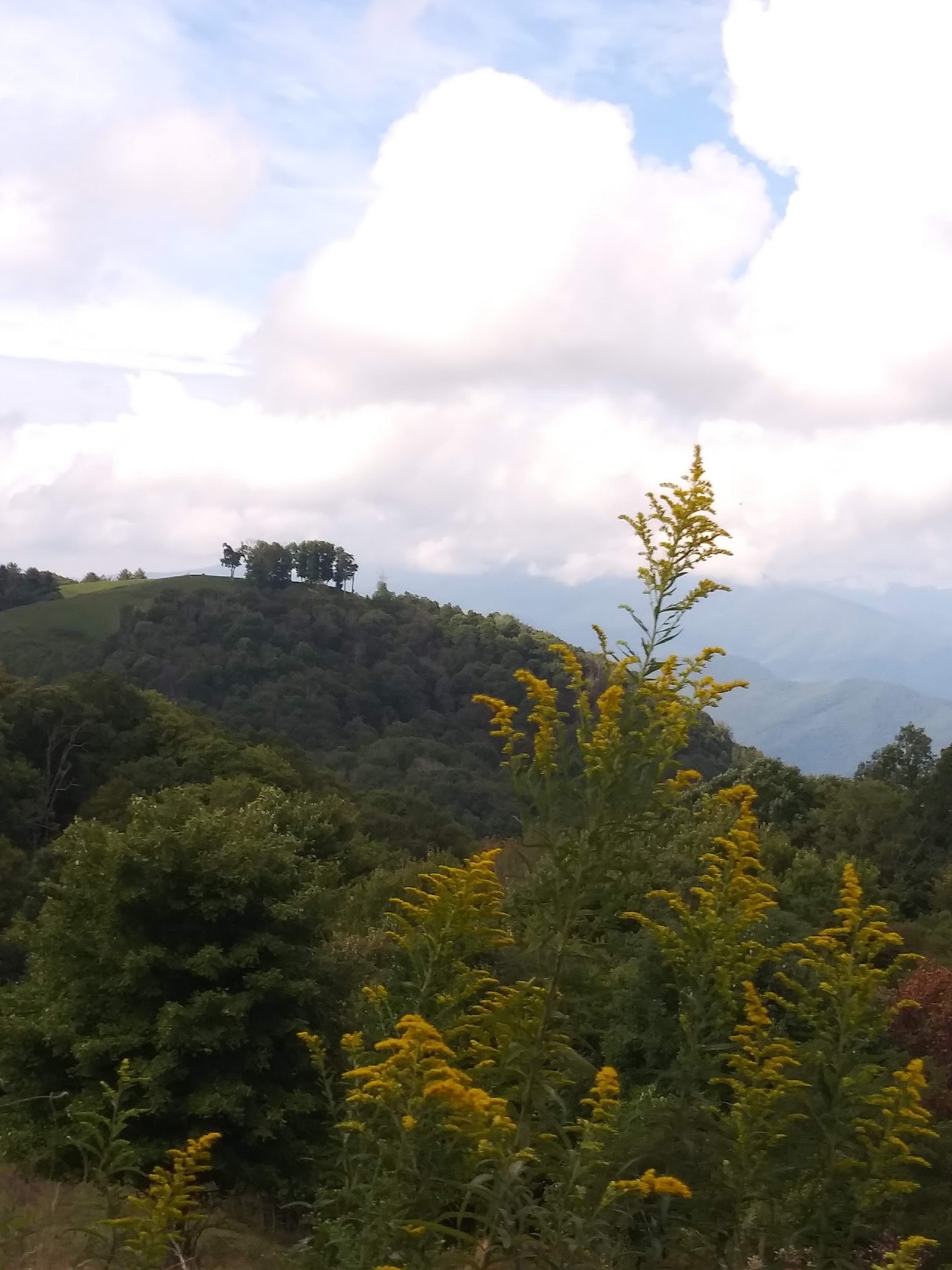 Round Mountain Campground