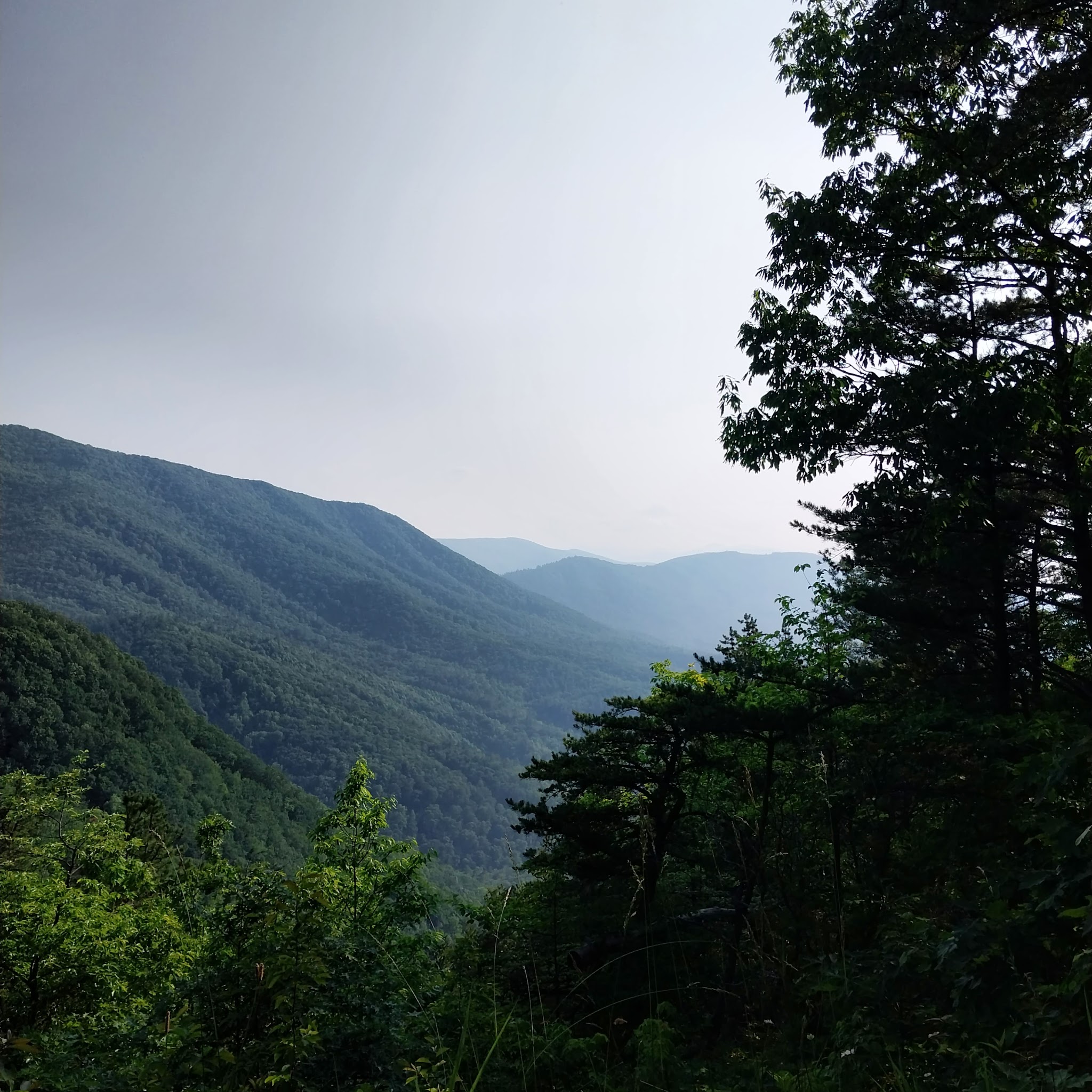 Round Mountain Campground