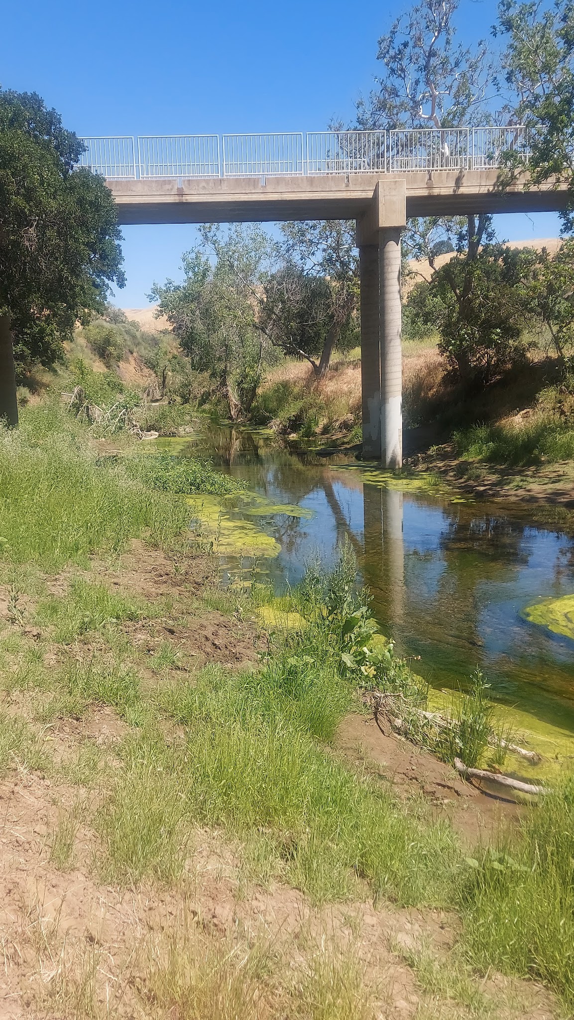 Round Valley Regional Preserve
